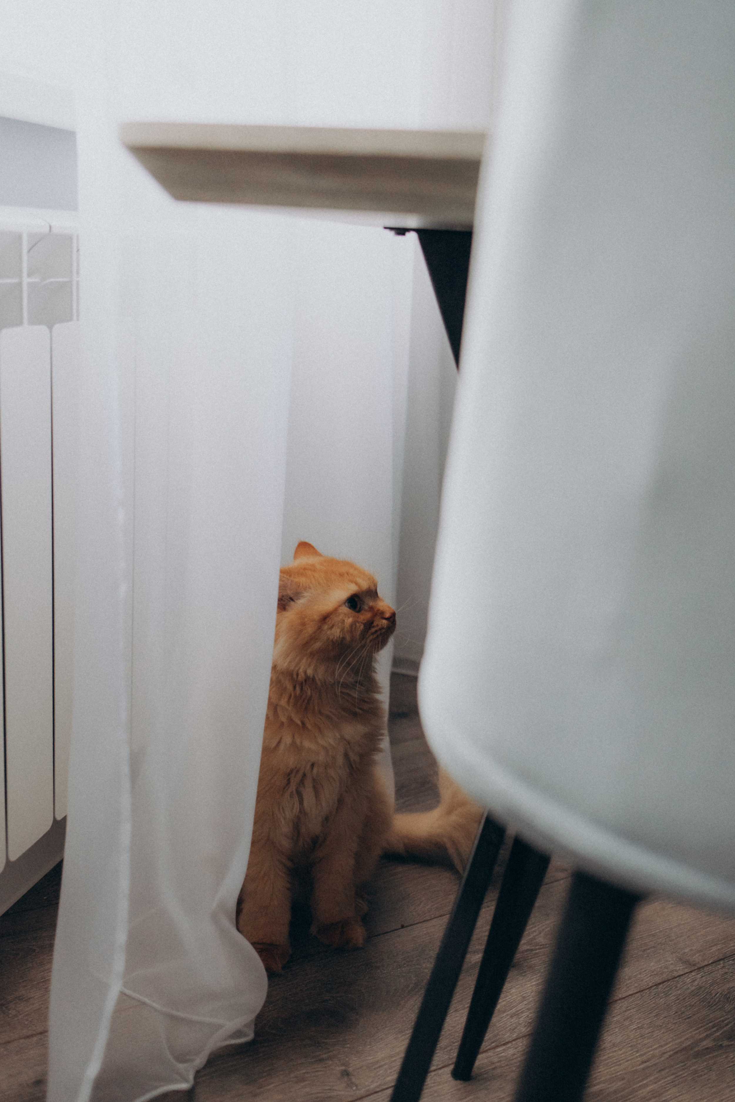 🤎. Семейный фотограф Виолла Платонова Белгород