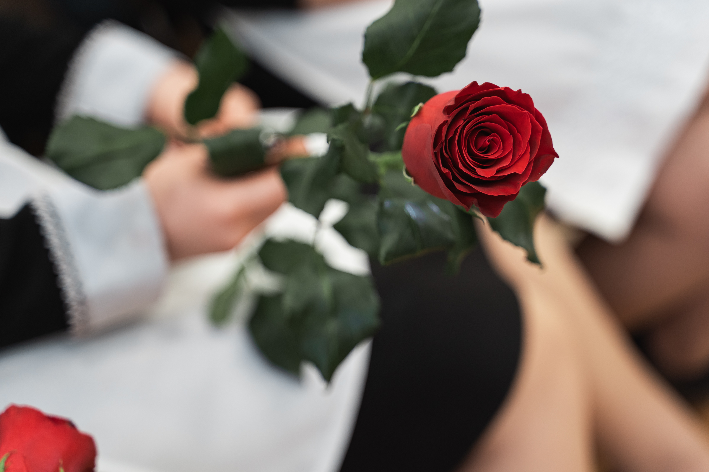 Celebrate Love with a Professional Wedding Photographer in Herceg-Novi. Photographer in Montenegro | Фотограф в Черногории