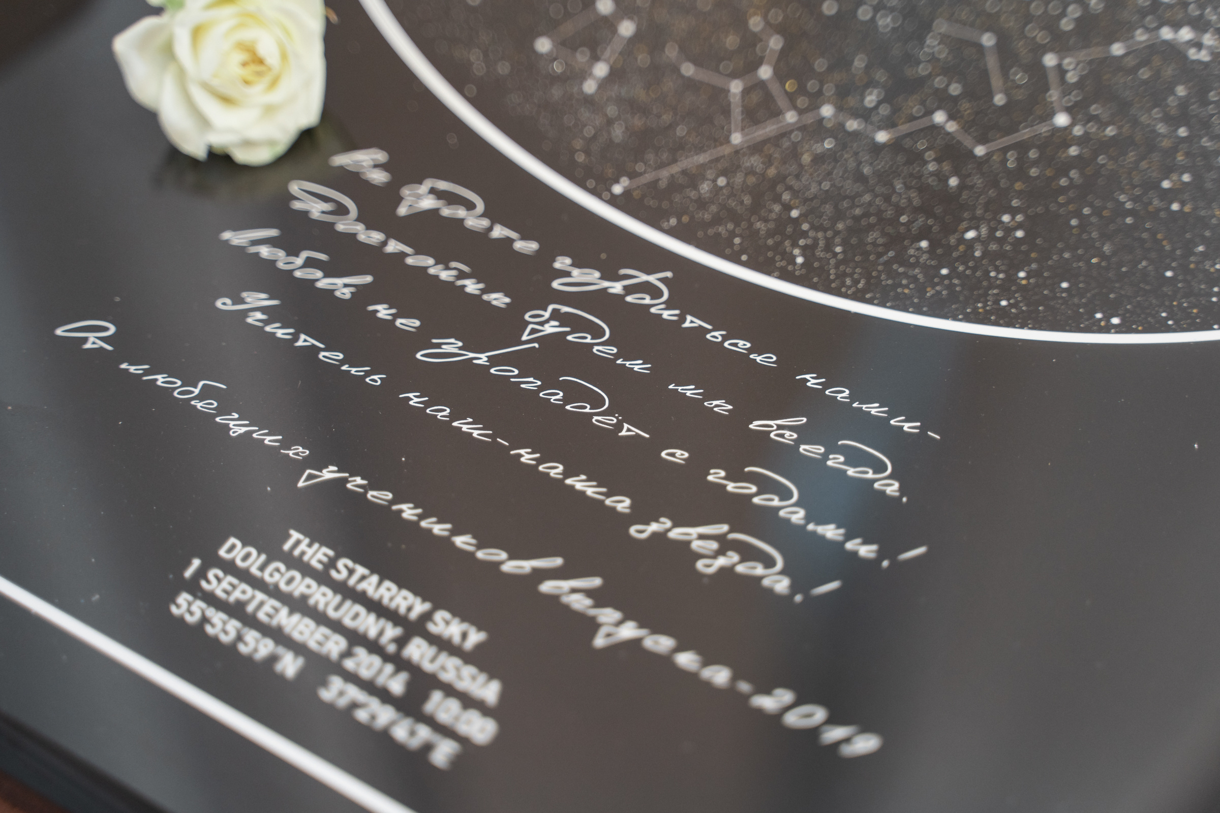 Celebrate Love with a Professional Wedding Photographer in Herceg-Novi. Photographer in Montenegro | Фотограф в Черногории