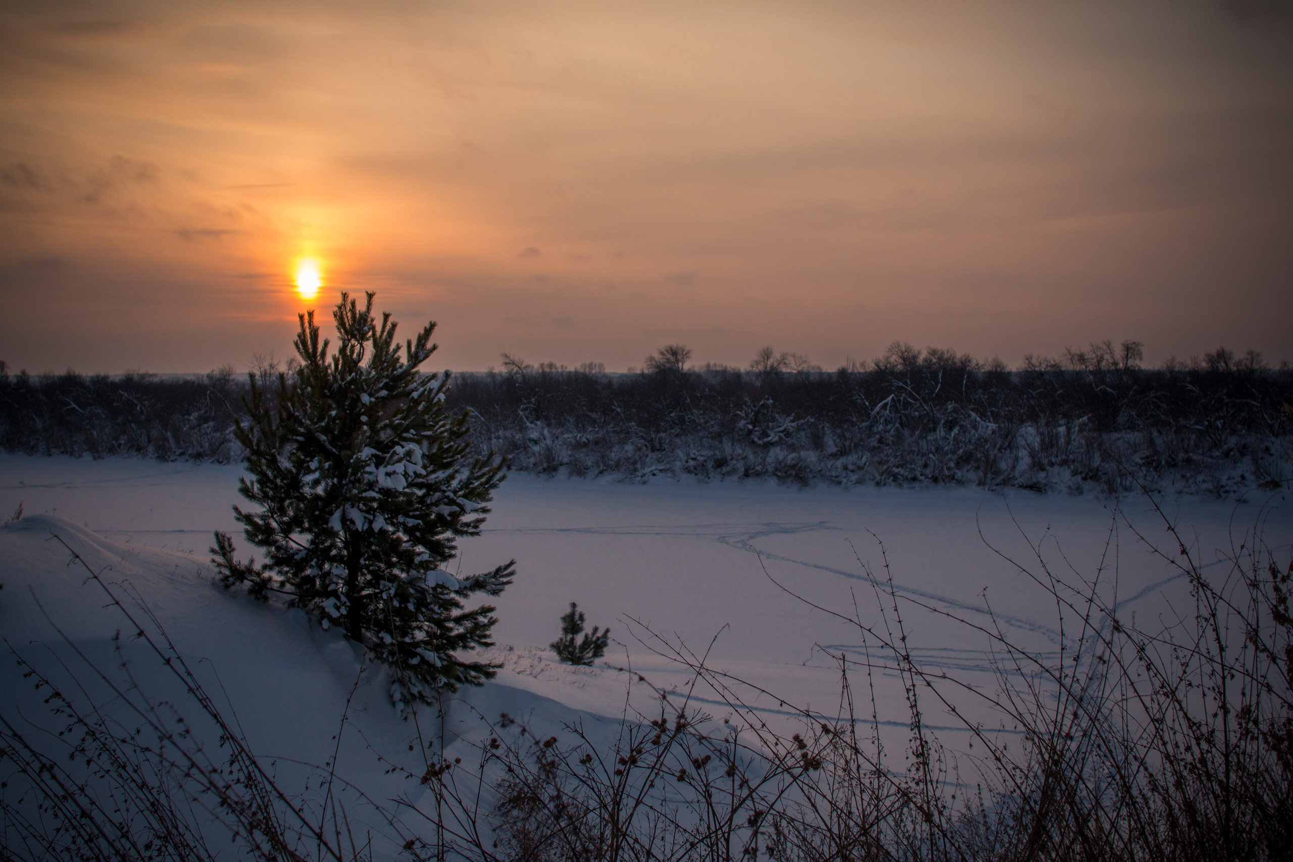 Зима. Ваш фотограф Северск | Томск