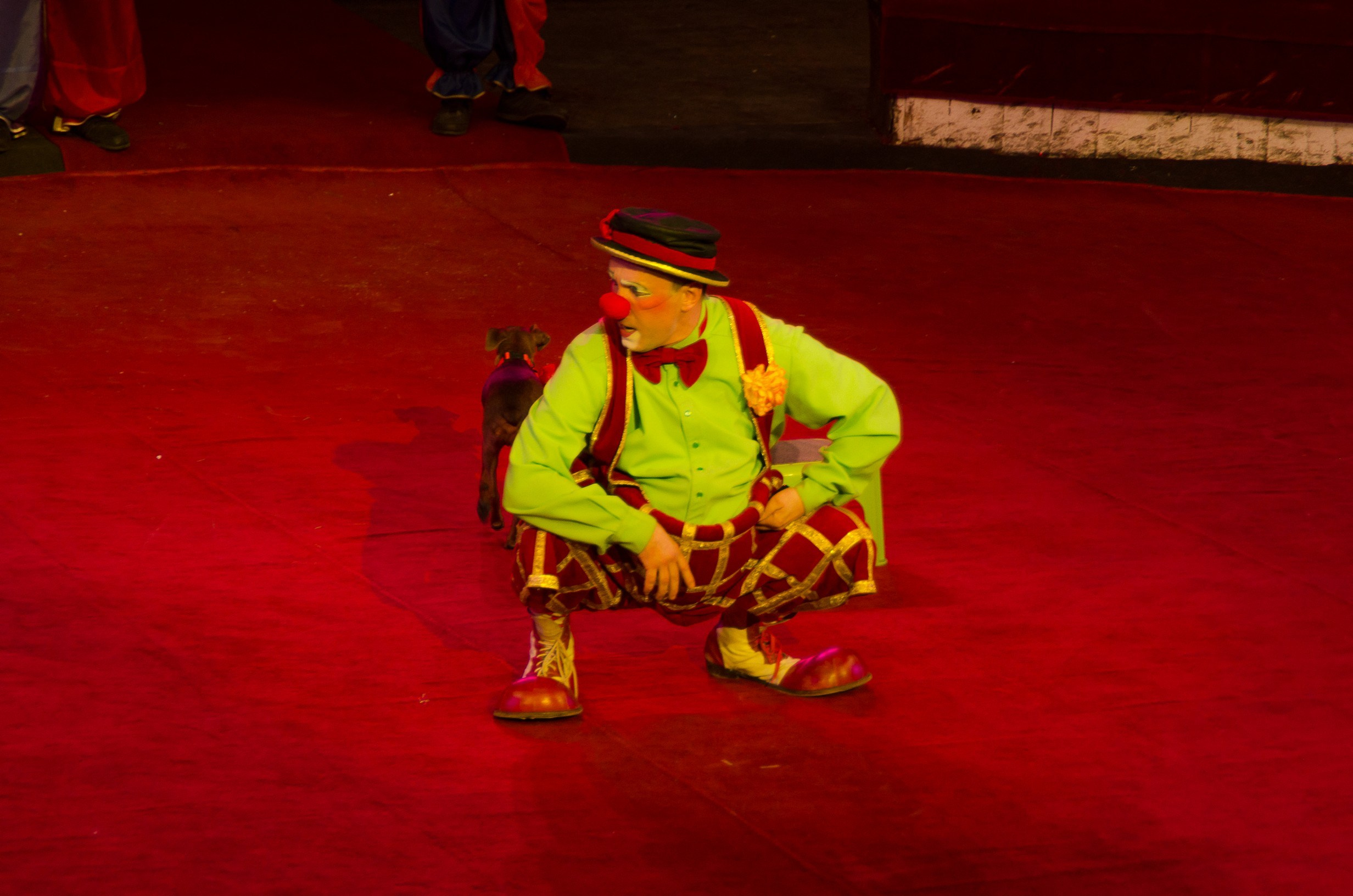 Цирк. Фотограф в РФ и ЛНР Юлия Федосеева