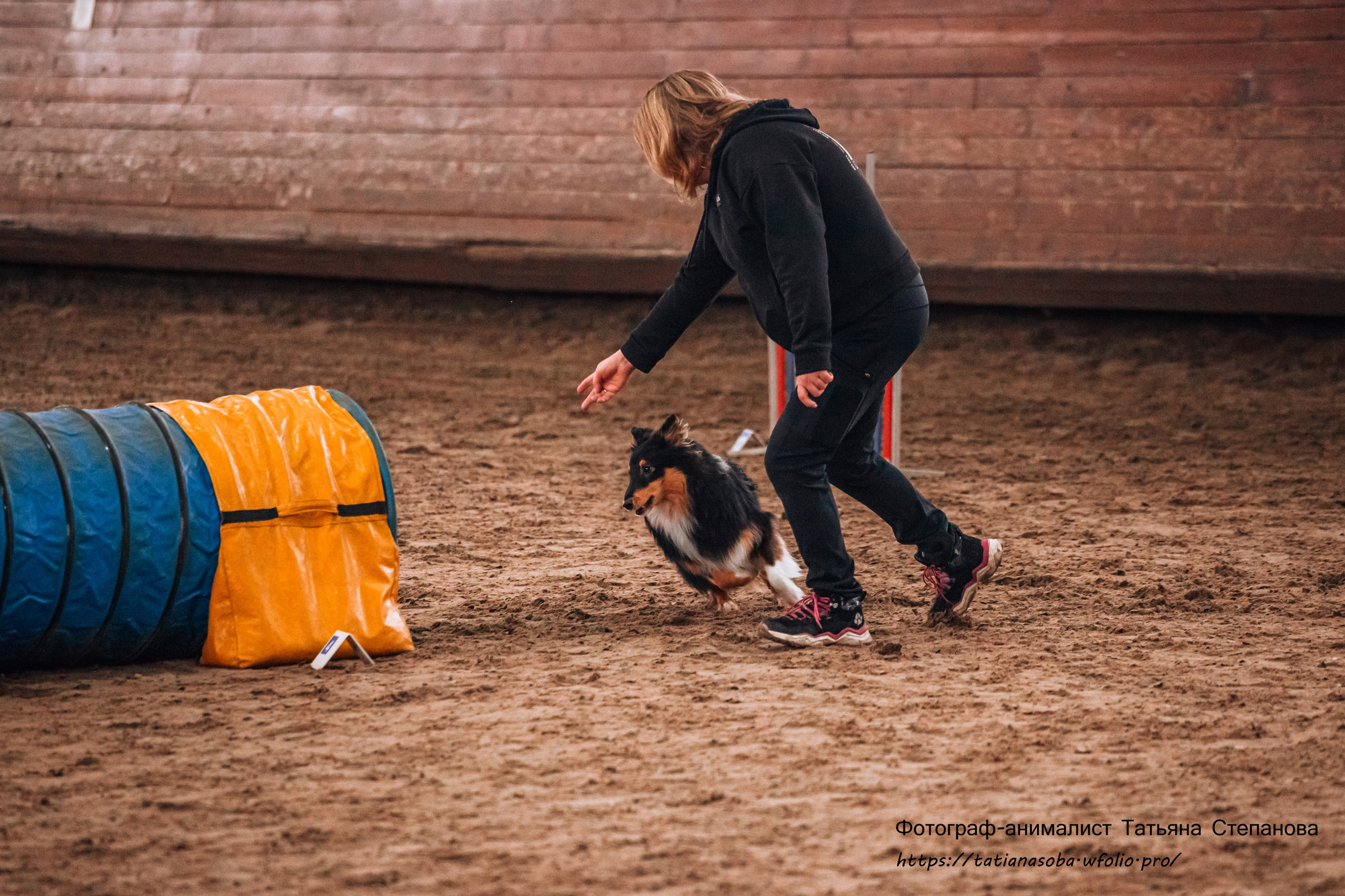 Соревнования по Аджилити 25.02.2024. Фотограф-анималист Татьяна Степанова