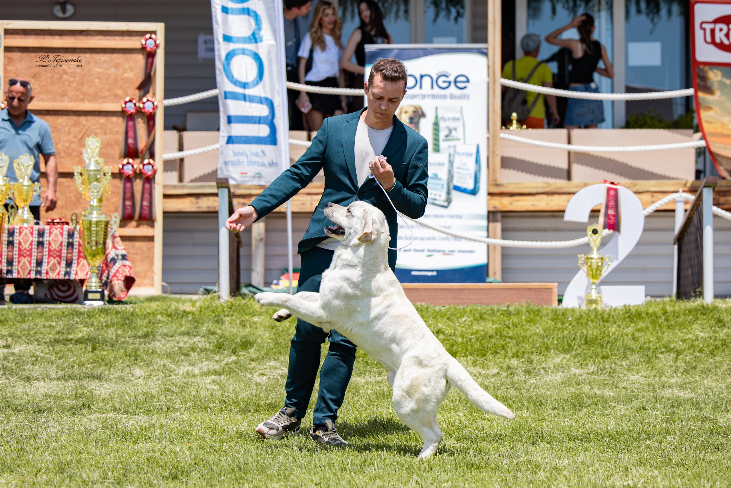 Ереван 3-5.06.2024. Фотограф-анималист Юлия Германика