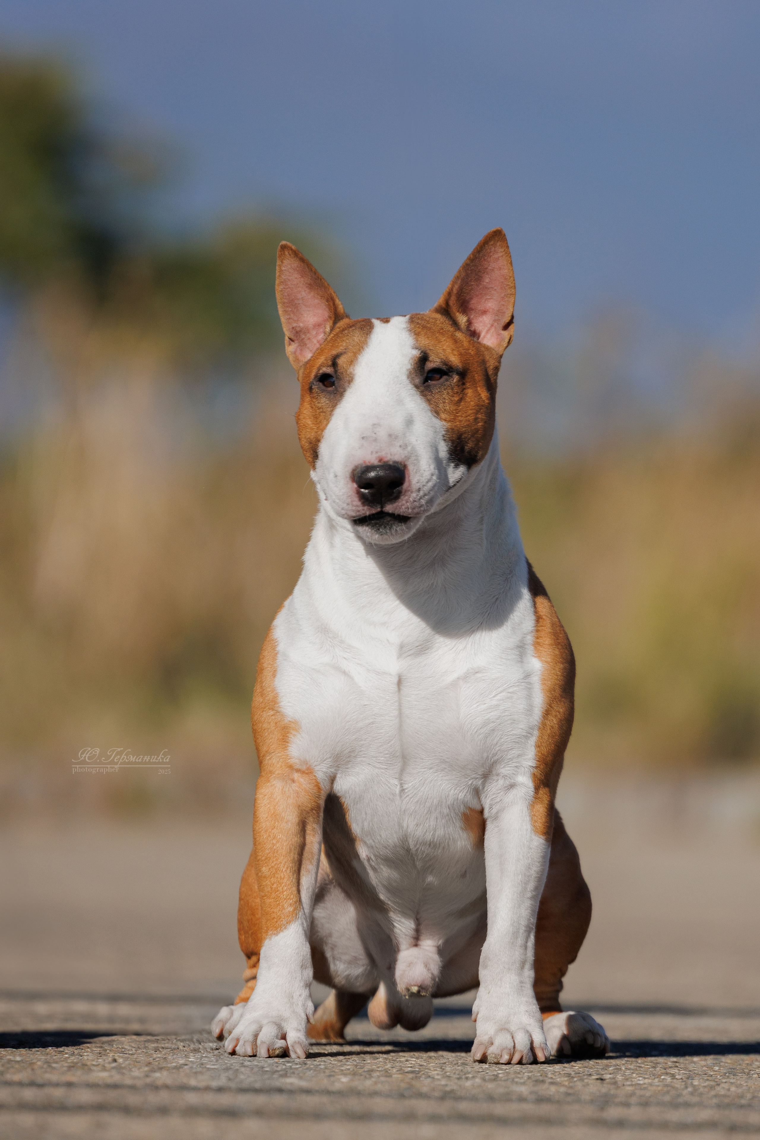 Телави 11-12.10.2025. Фотограф-анималист Юлия Германика