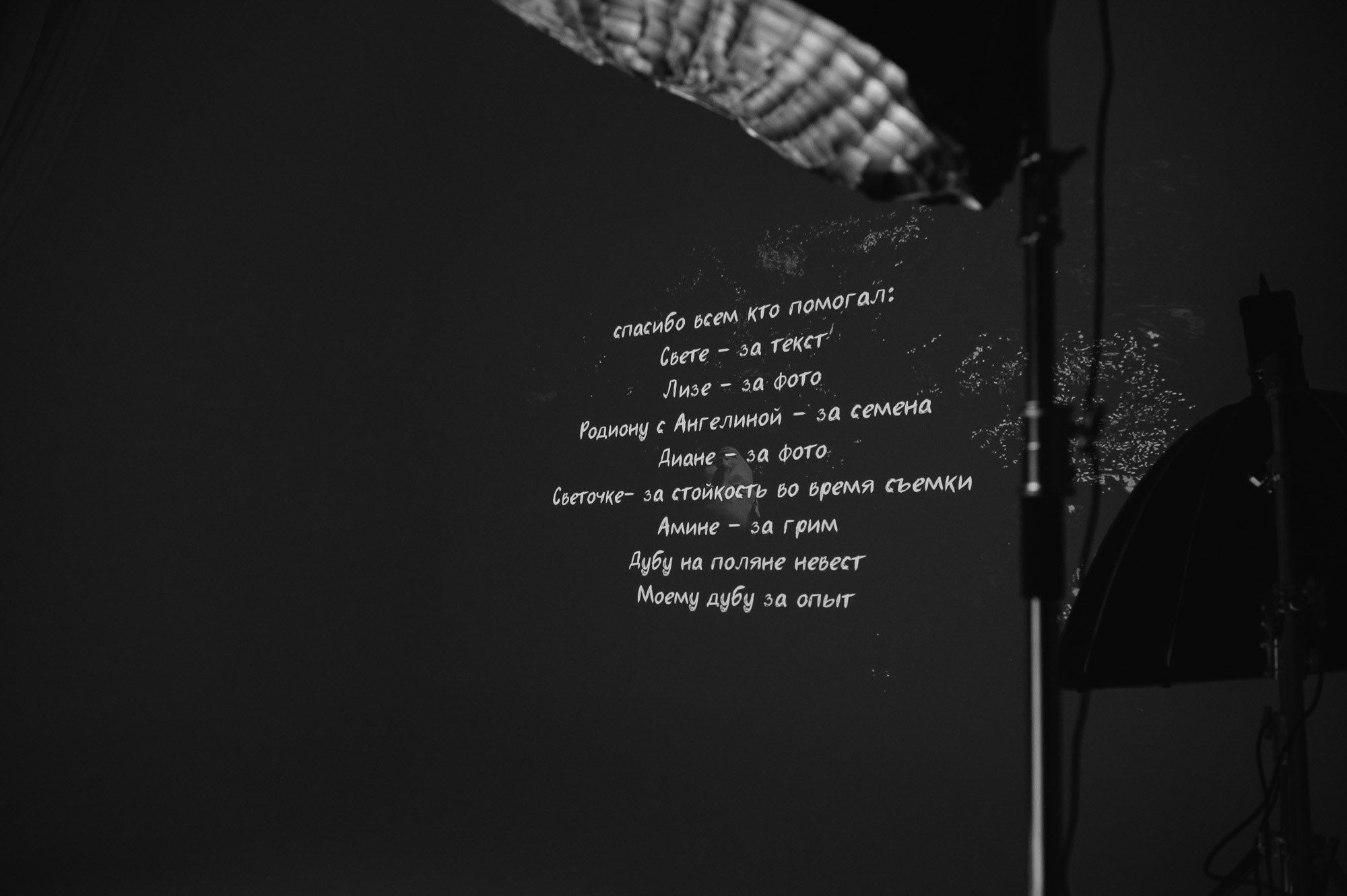 Каркас. Коммерческий фотограф в Казани Ксения Добролюбова