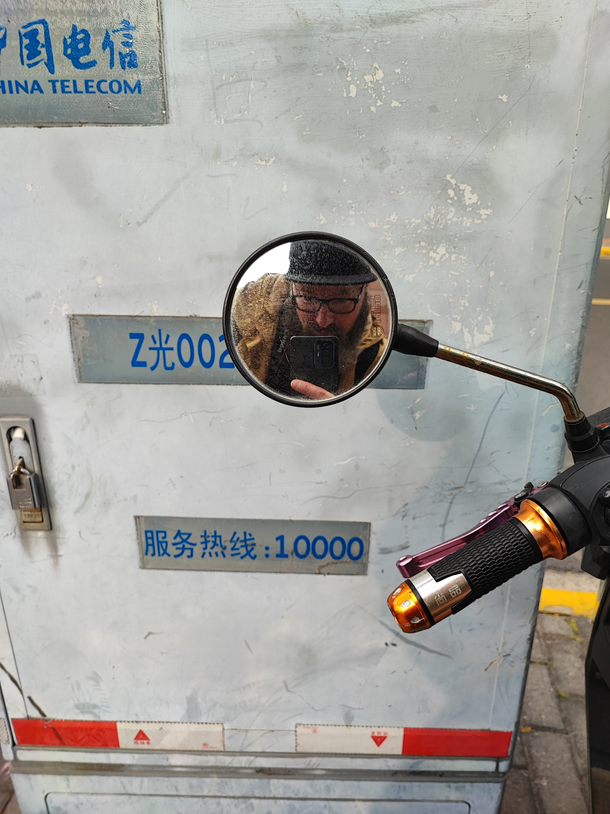 Намобилкус китайский. Репортажный фотограф Алексей Пирязев