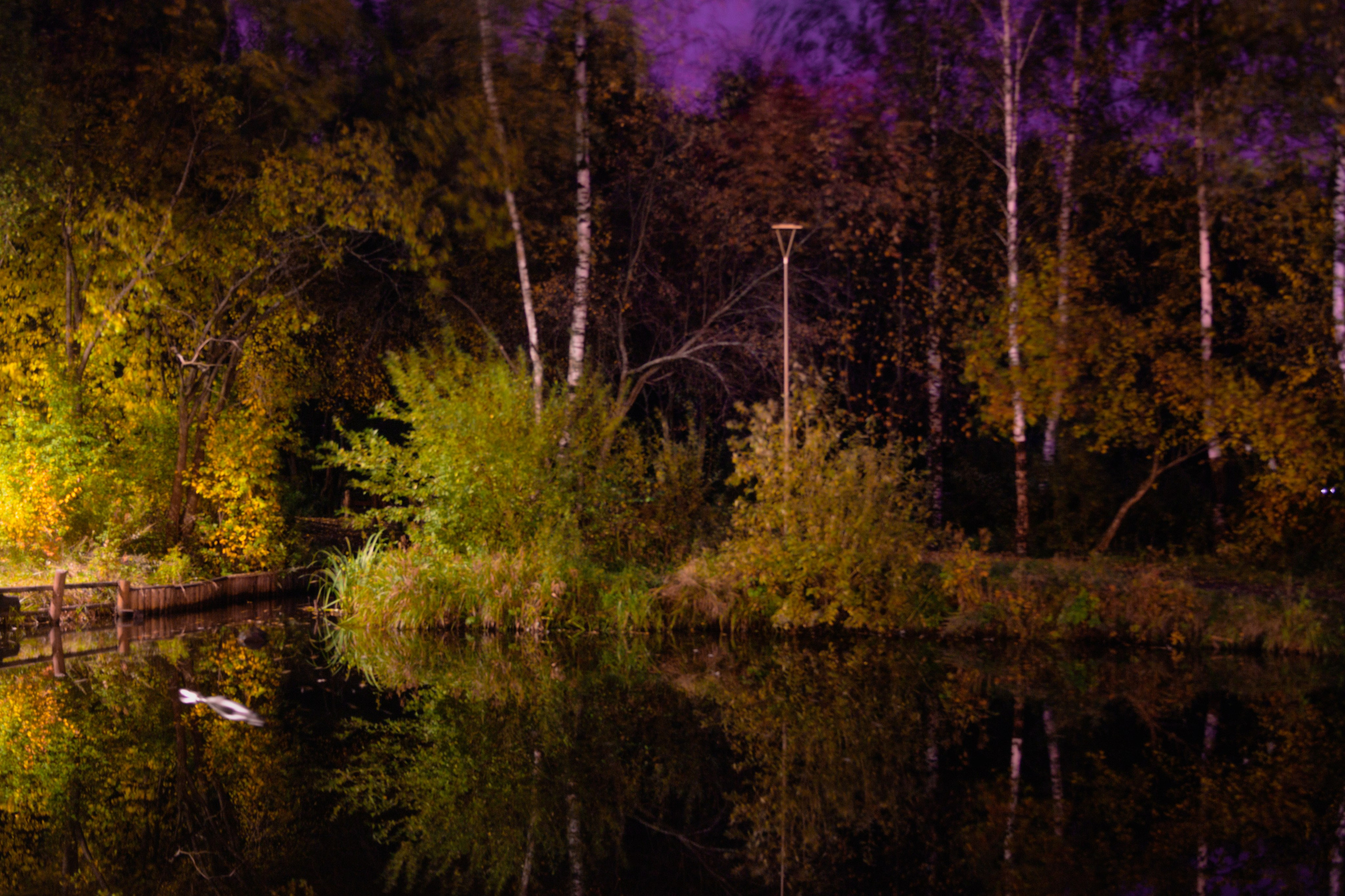 Виды Перми и окрестностей. Фотограф Никита Попов. Фотограф Пермь. Фотосессия в фотостудии Перми и на свежем воздухе