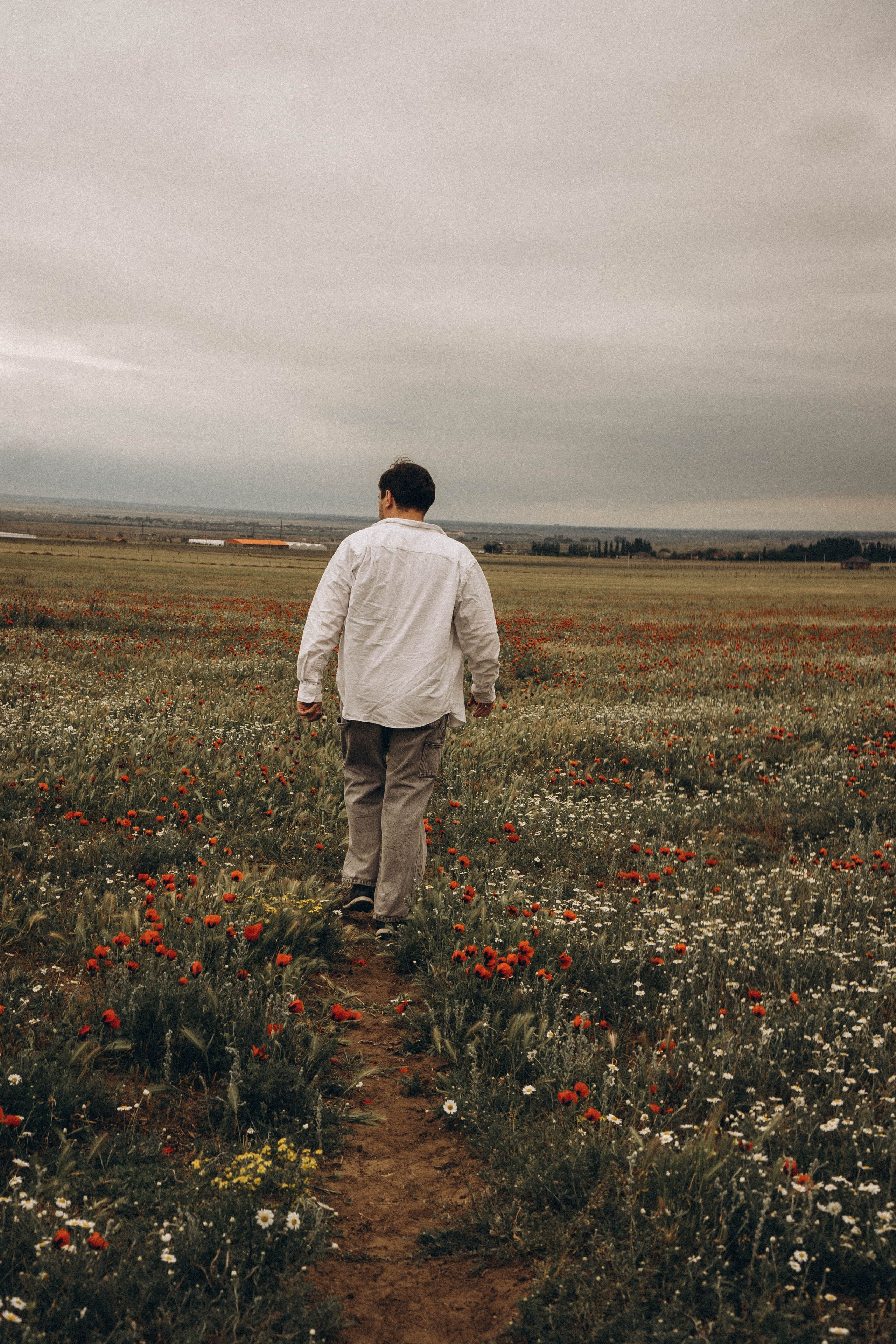 Маки. Профессиональный фотограф, Санкт-Петербург — Виктория Богомолова