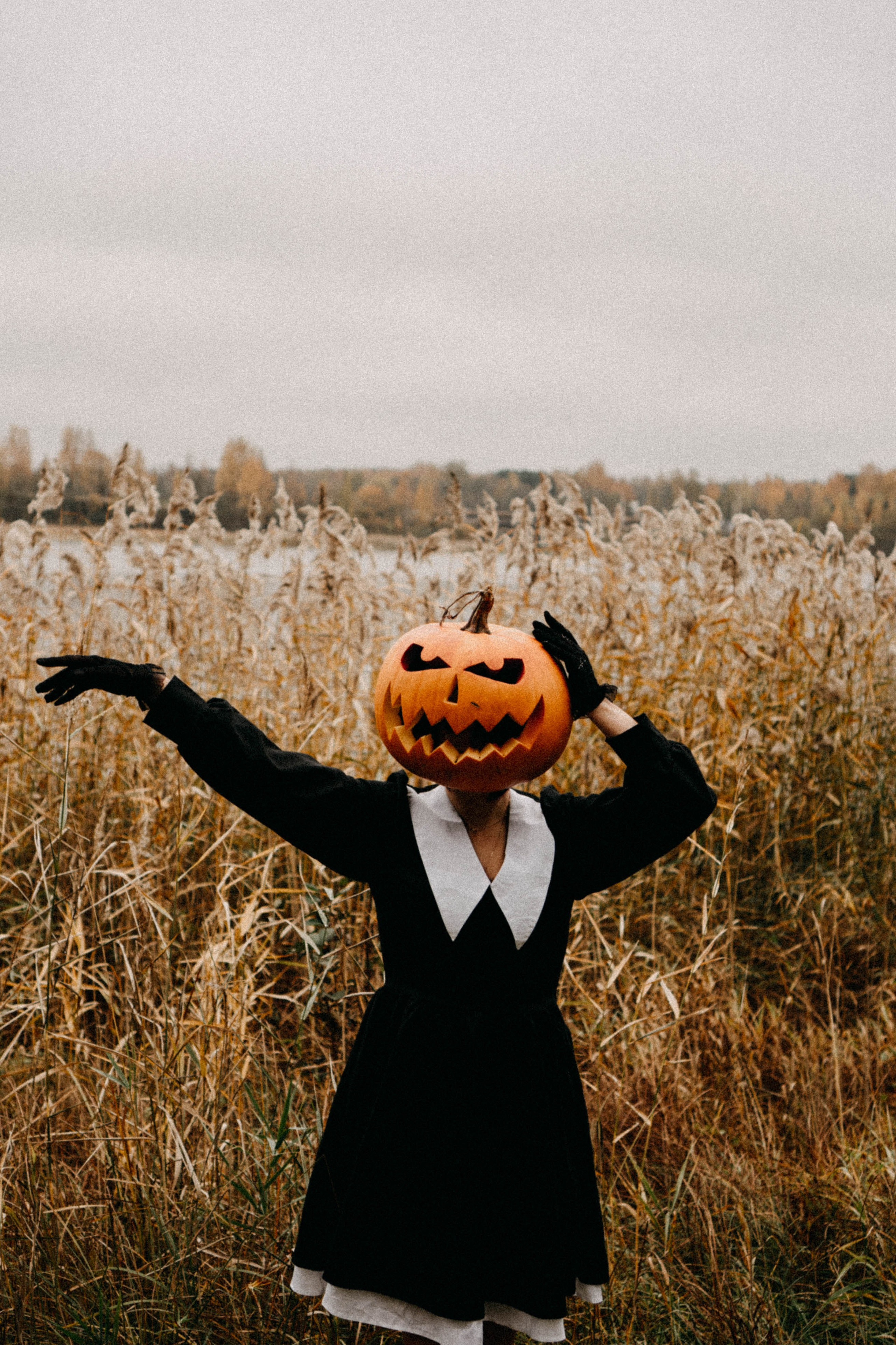 Осеняя. Профессиональный фотограф, Санкт-Петербург — Виктория Богомолова