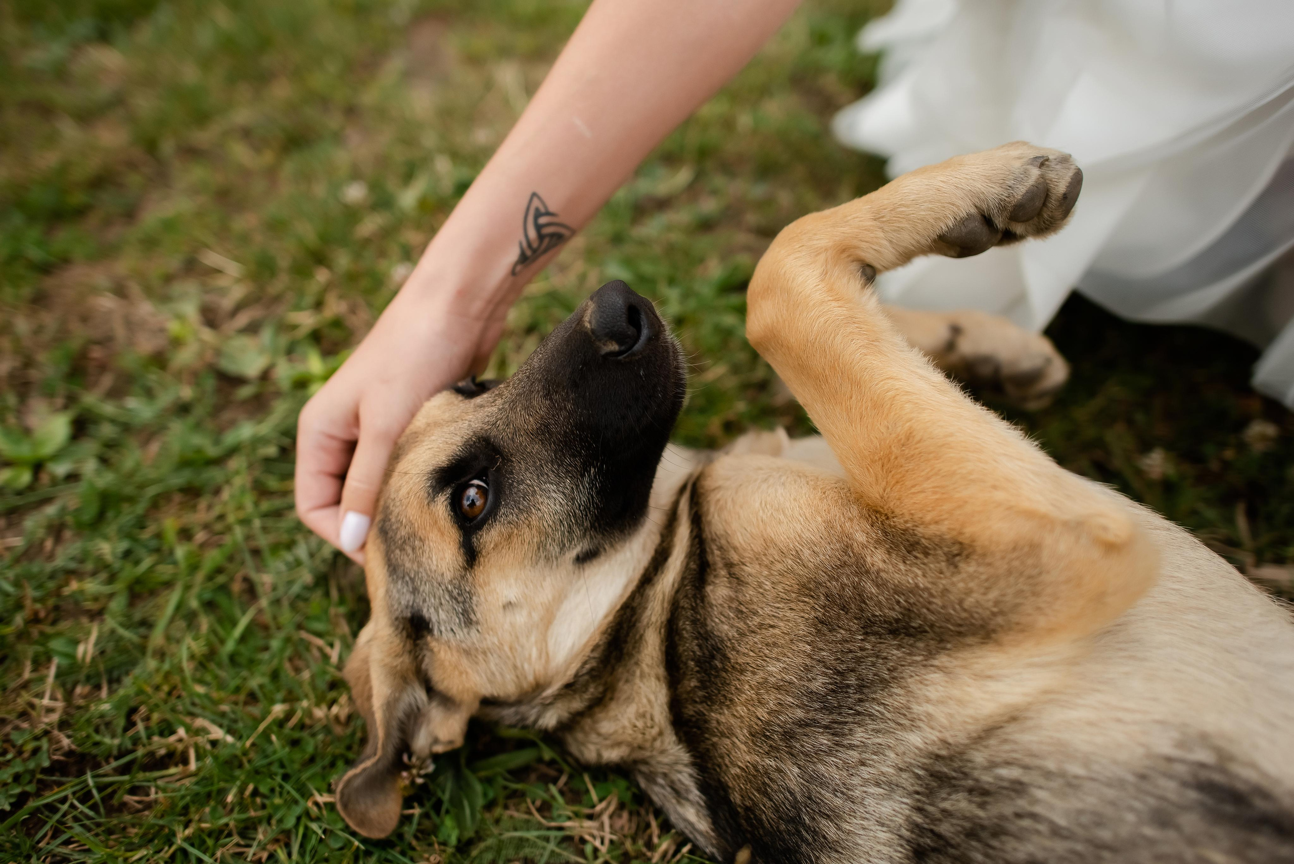 Свадебный день в горах (10.08.2020). Свадебный и travel фотограф в Волгограде, Сочи, Домбае, Европе