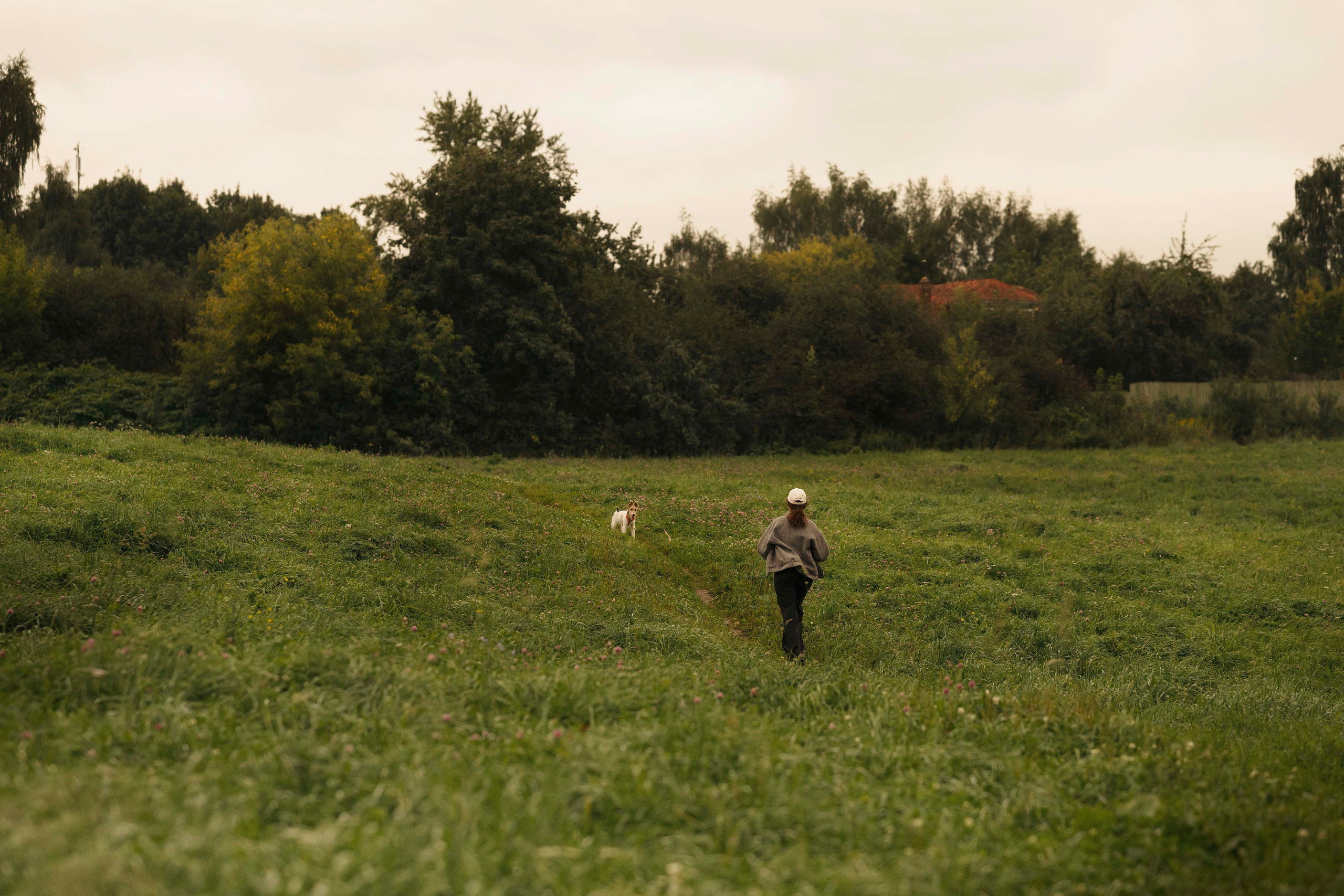 Мартин. Фотограф- анималист Александра Матвеева