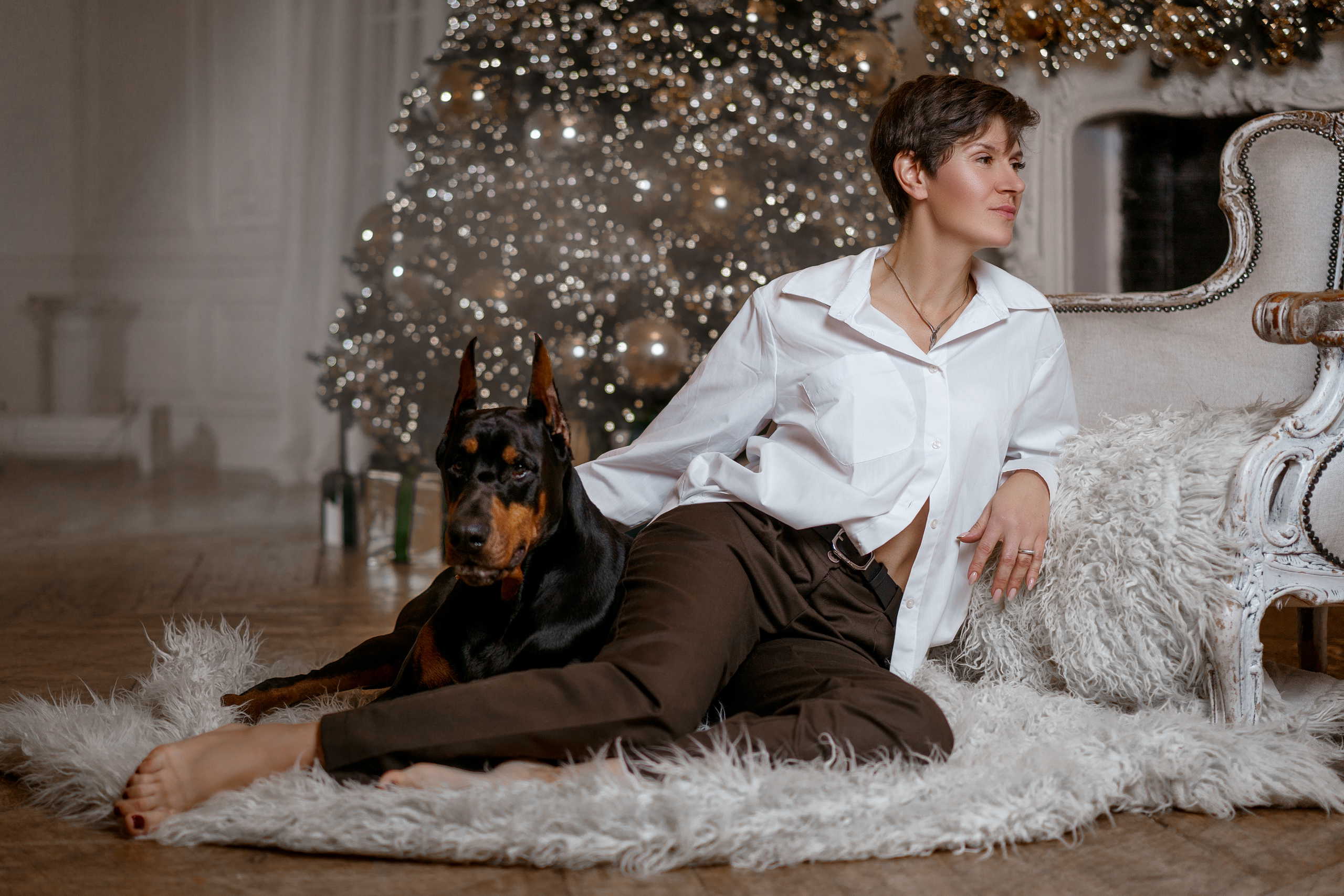 Фотосессии с вашими любимцами. Фотограф Артемьева Катерина|фотосессии с лошадьми