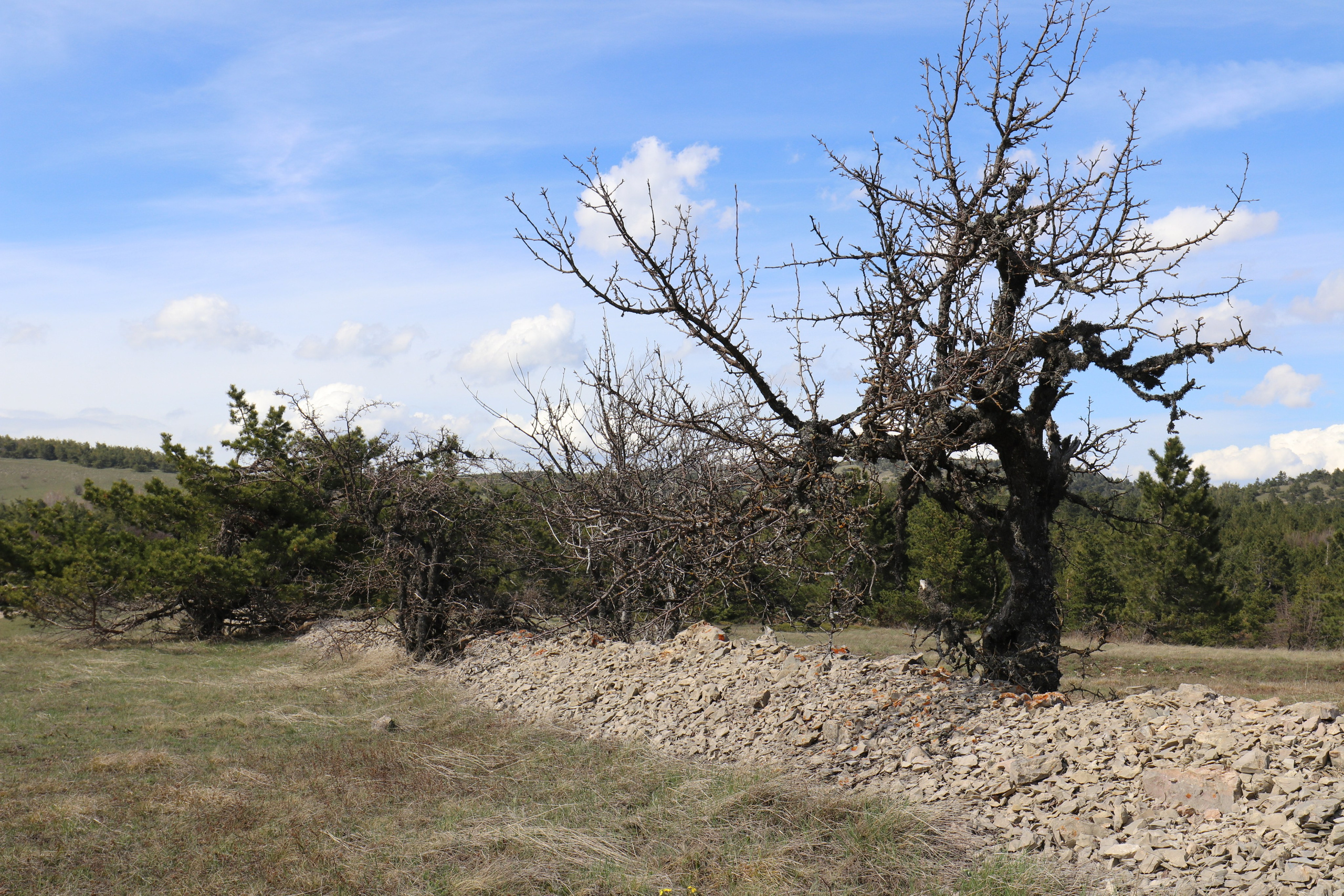 Крым. ЮБК (Бахчисарай, Кастрополь, Таракташская тропа). Май 2021. Путешественник-фотограф из Санкт-Петербурга Татьяна Свистулина