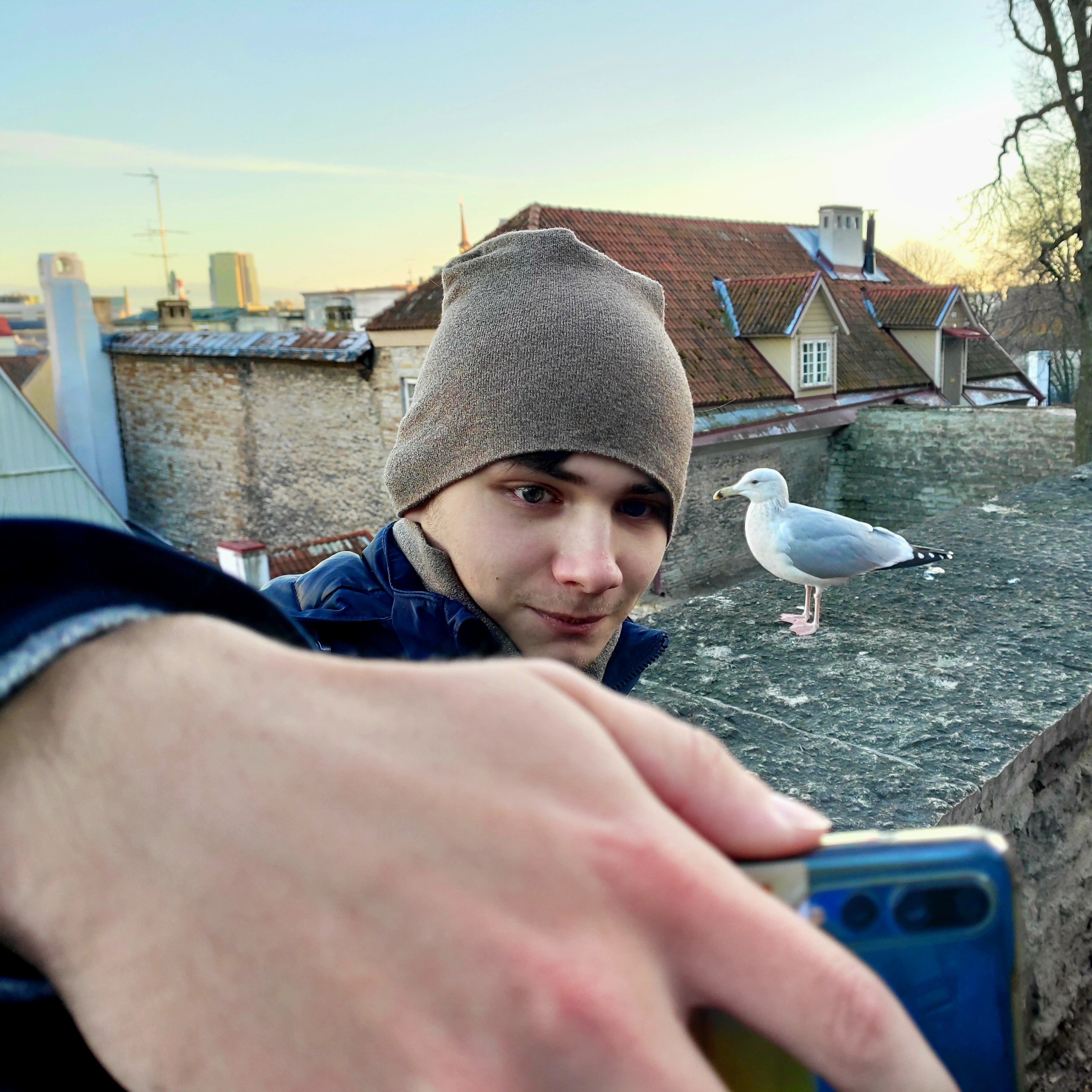 Спокойно сидит позирует, в ожидании остатков праздничного угощения