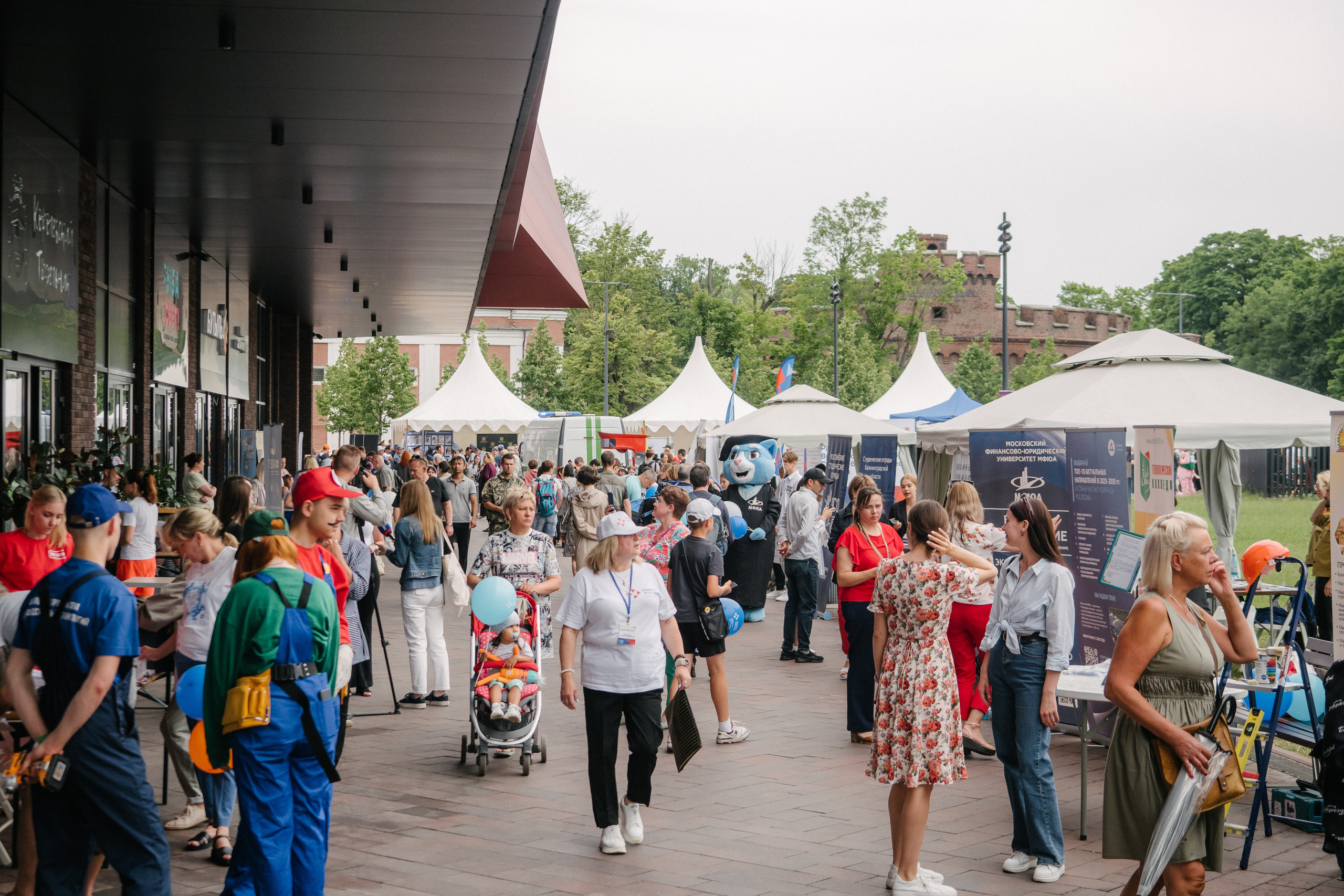 Портфолио для организаторов мероприятий