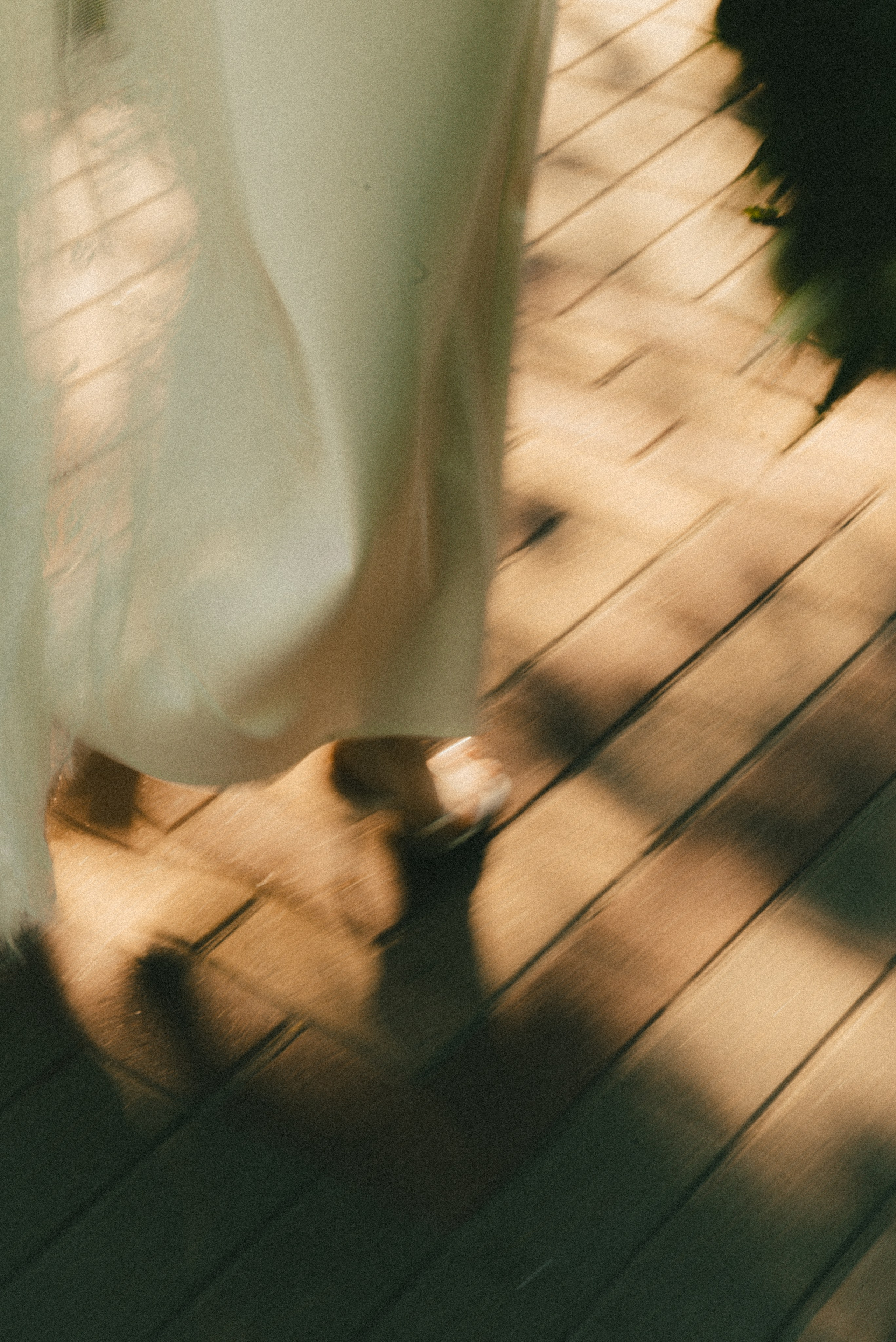 Екатерина и Вадим. Гомель. Фотограф Санкт-Петербург, Новороссийск