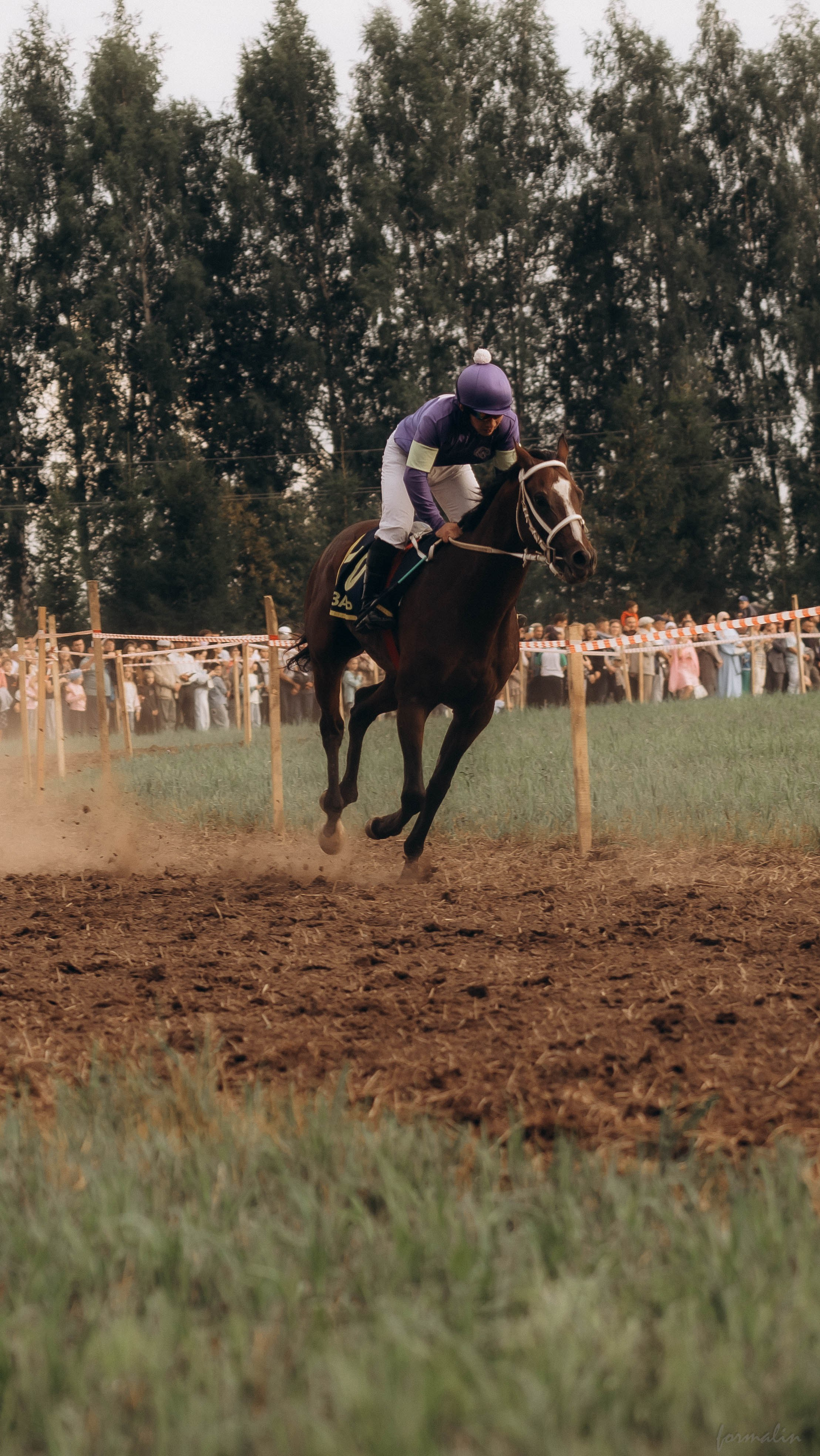 День Коня. Алиса Никитцова | Фотограф в Казани