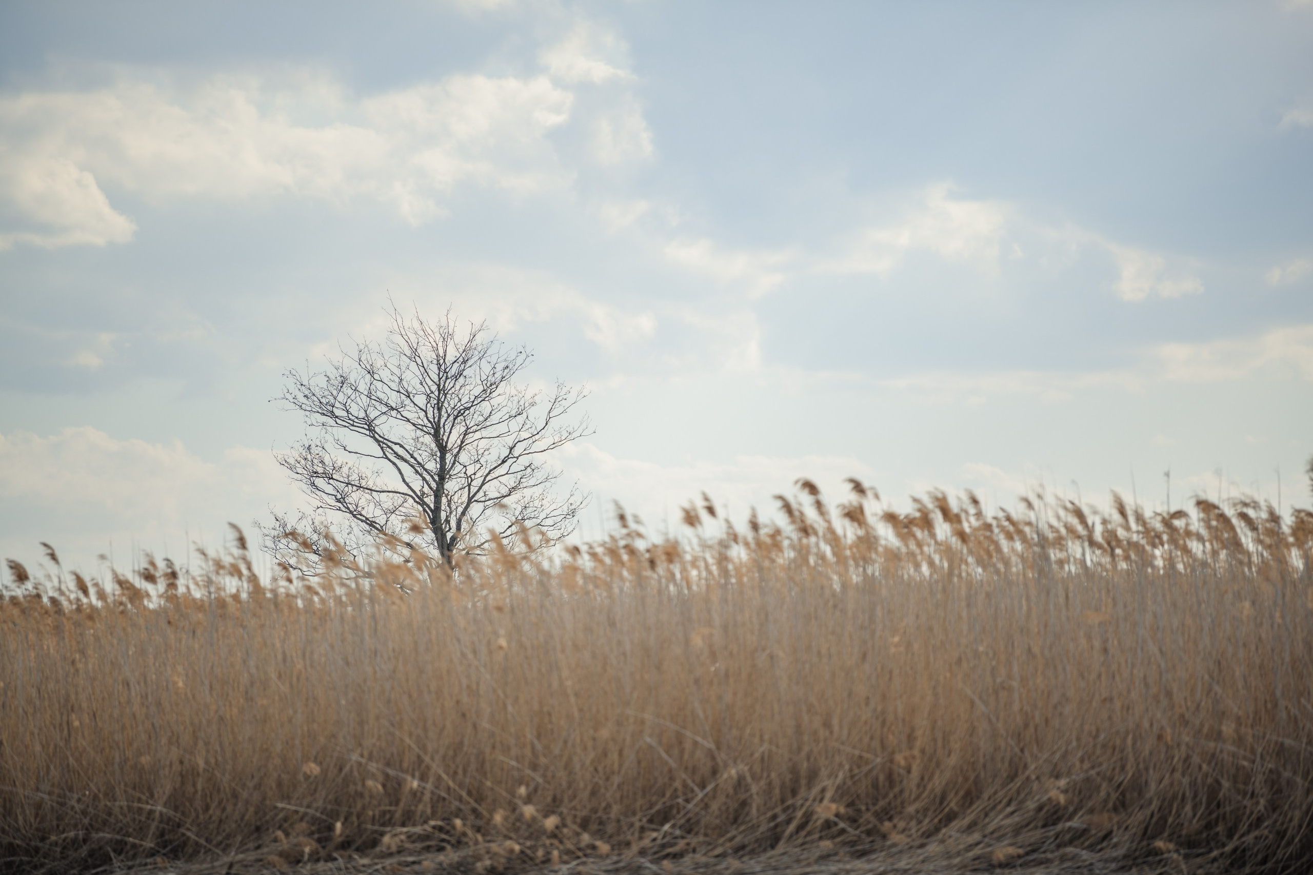 Водный поход 1-й кс по реке Случь. Репортажный фотограф Владимир Беляй