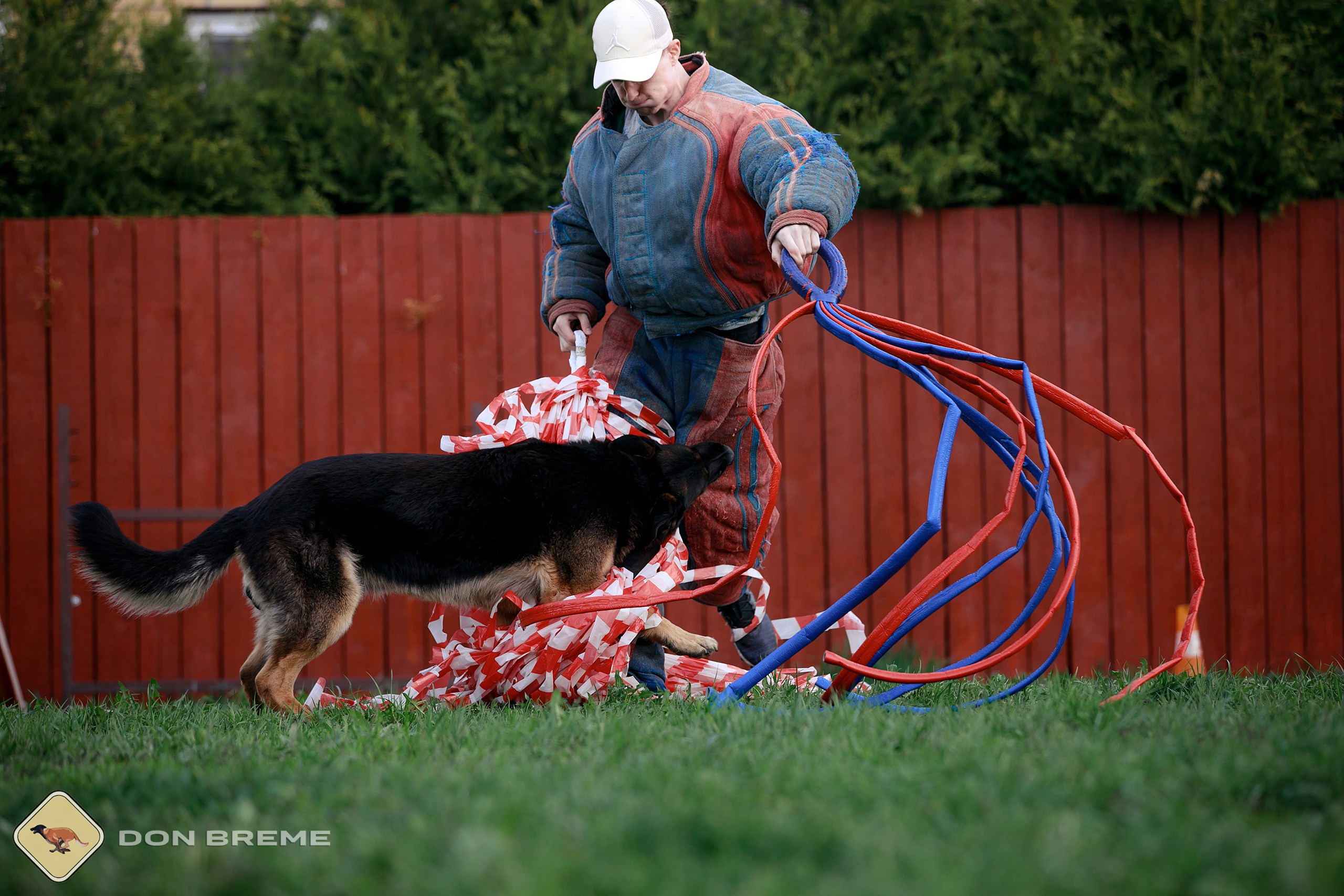 Семинар для фигурантов, день 2. Фотограф-анималист Mary Mart — Москва, Питер