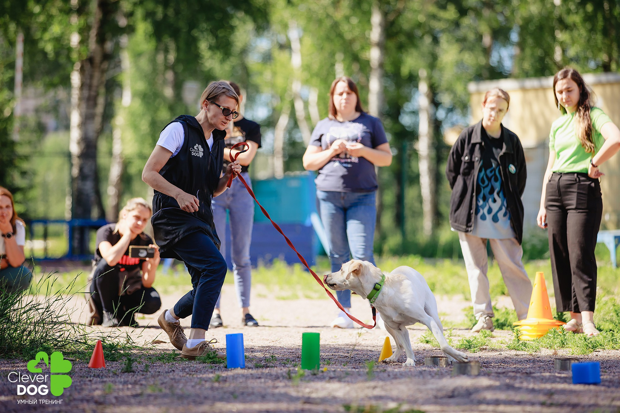 Семинар по поиску запаха с Иваном Ломовым, организатор CleverDog, СПб. Фотограф-анималист Mary Mart — Москва, Питер