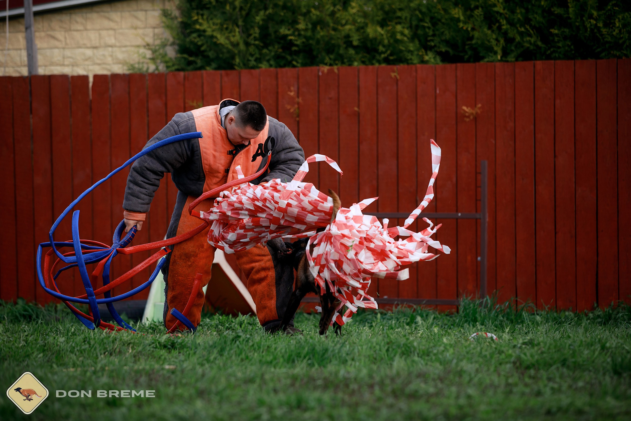 Семинар для фигурантов, день 2. Фотограф-анималист Mary Mart — Москва, Питер