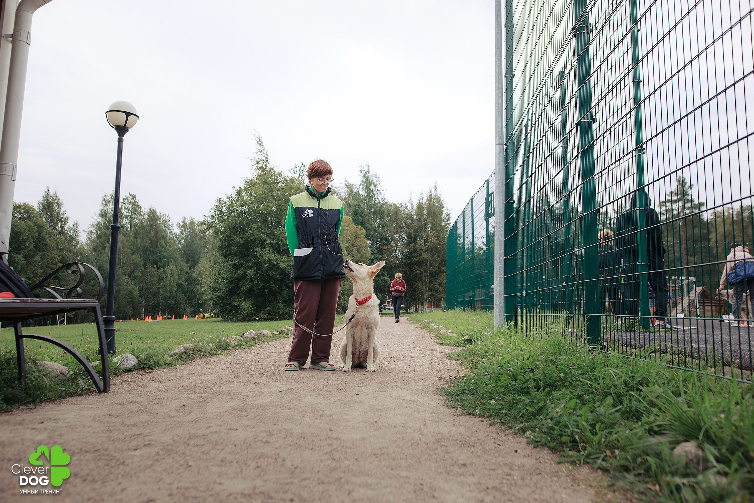 Кинологический лагерь CleverDog, 2024. Фотограф-анималист Mary Mart — Москва, Питер