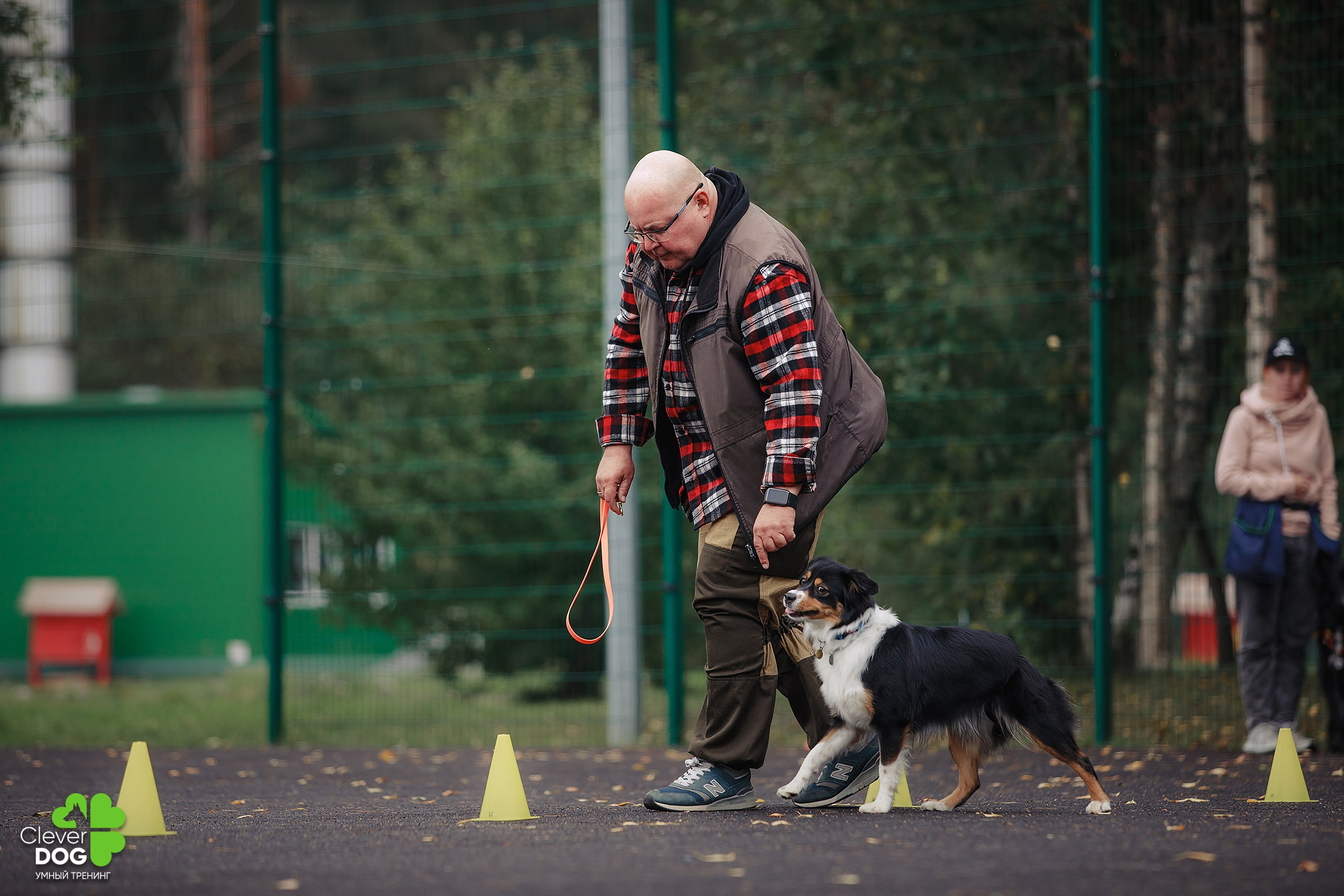 Кинологический лагерь CleverDog, 2024. Фотограф-анималист Mary Mart — Москва, Питер