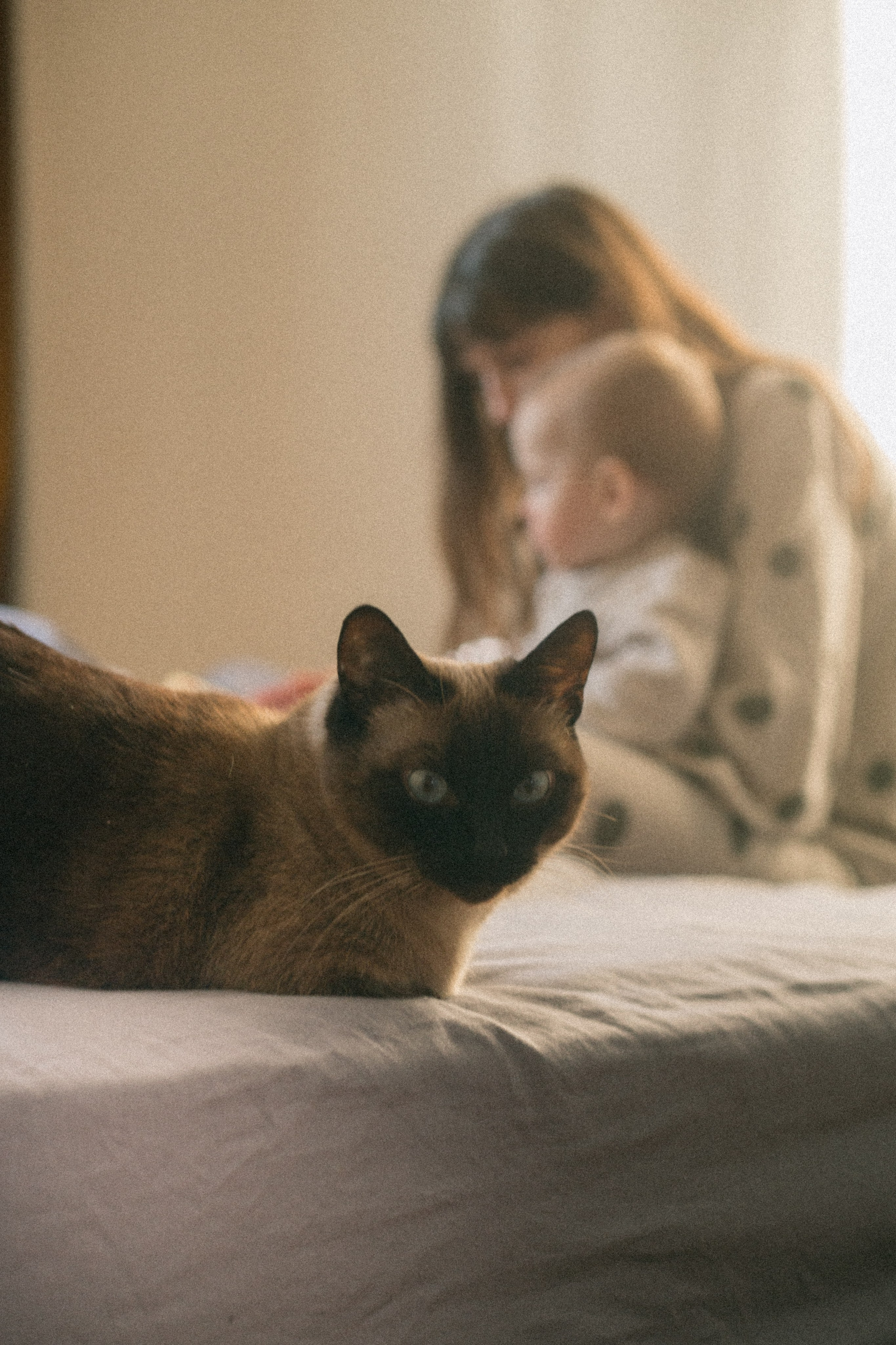 Василина и Сеня. Фотограф Екатеринбург| Миасс Долгополова Дарья