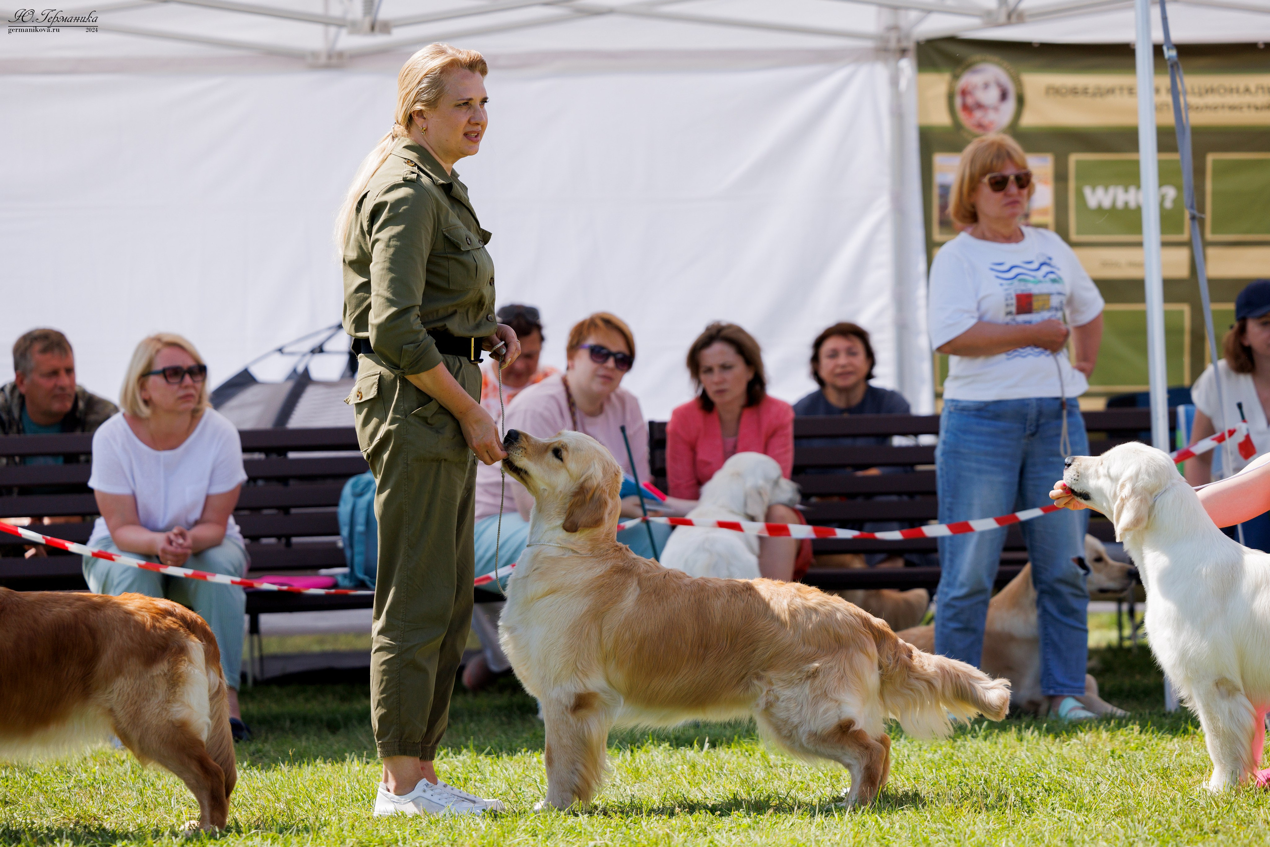 Голдены 15-16.06.2024. Фотограф-анималист Юлия Германика