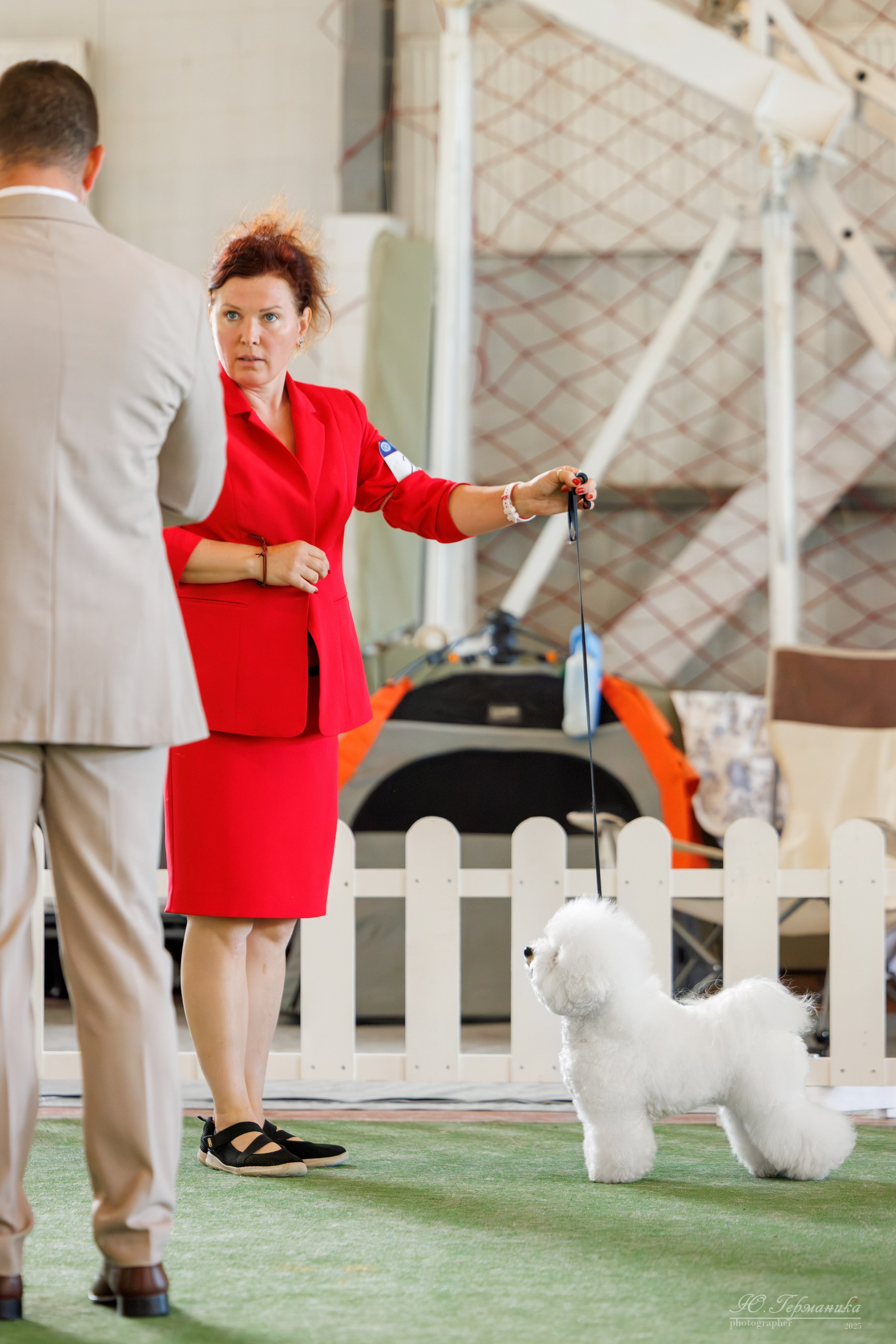 Батуми 3хCACIB 27-29.06.2025. Фотограф-анималист Юлия Германика