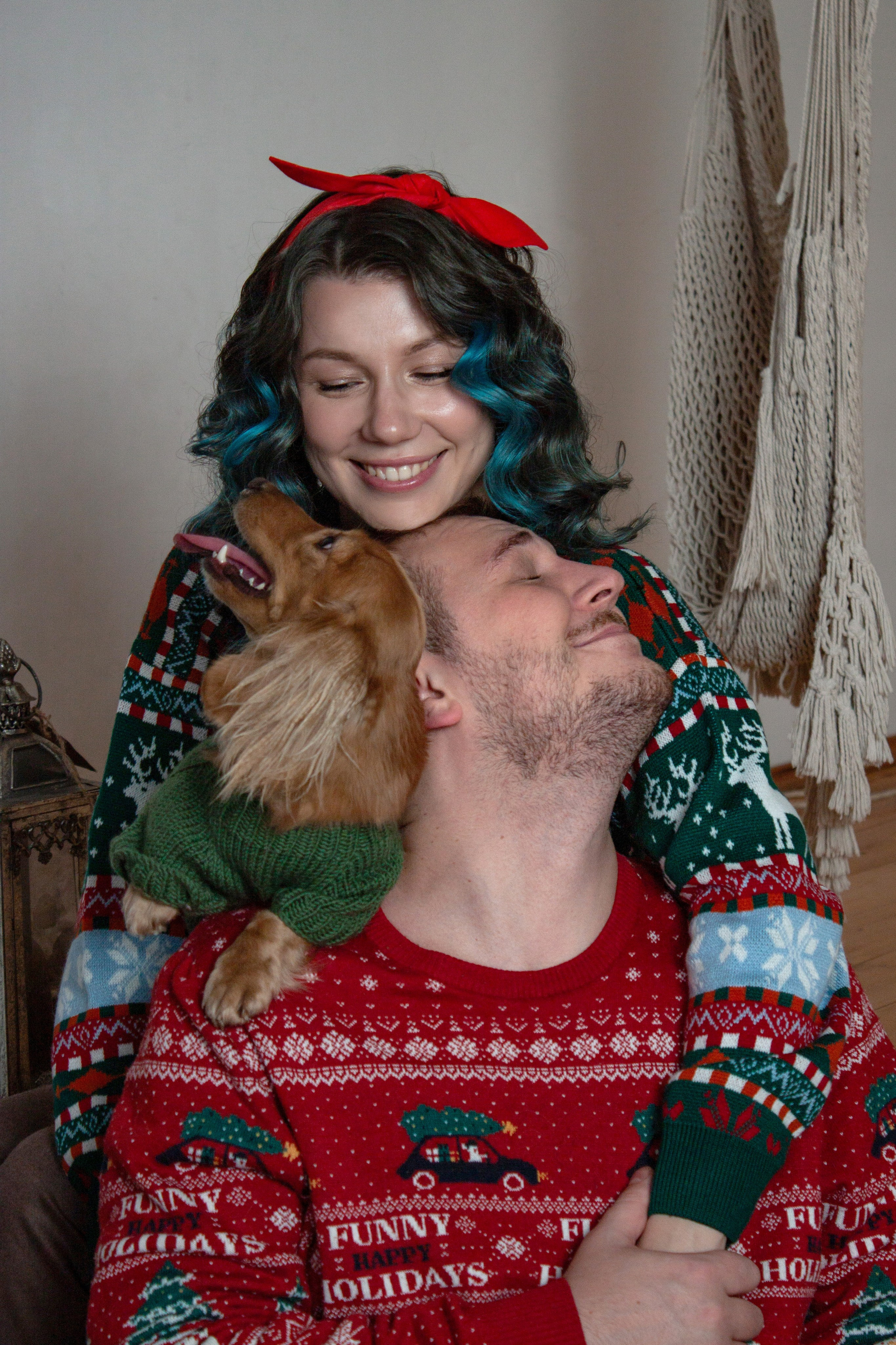 Новогодние собаки. Фотограф в Санкт-Петербурге Рейдер Дарья