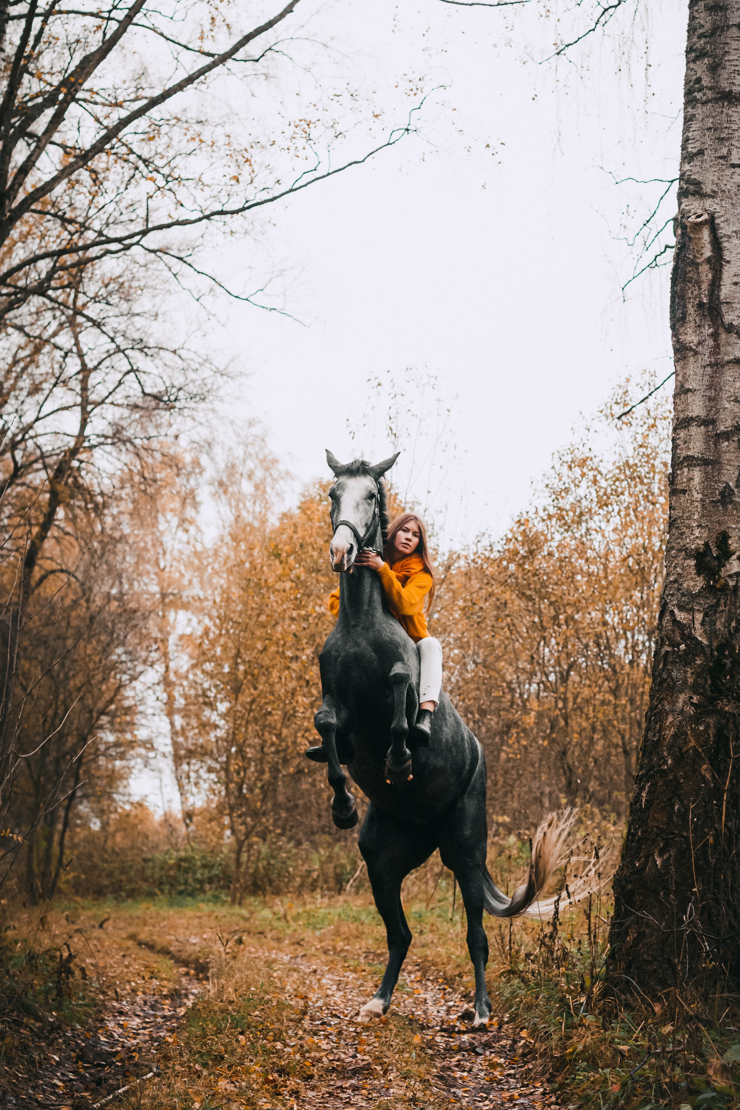 Аня и Джози. Фотограф-анималист Татьяна Степанова