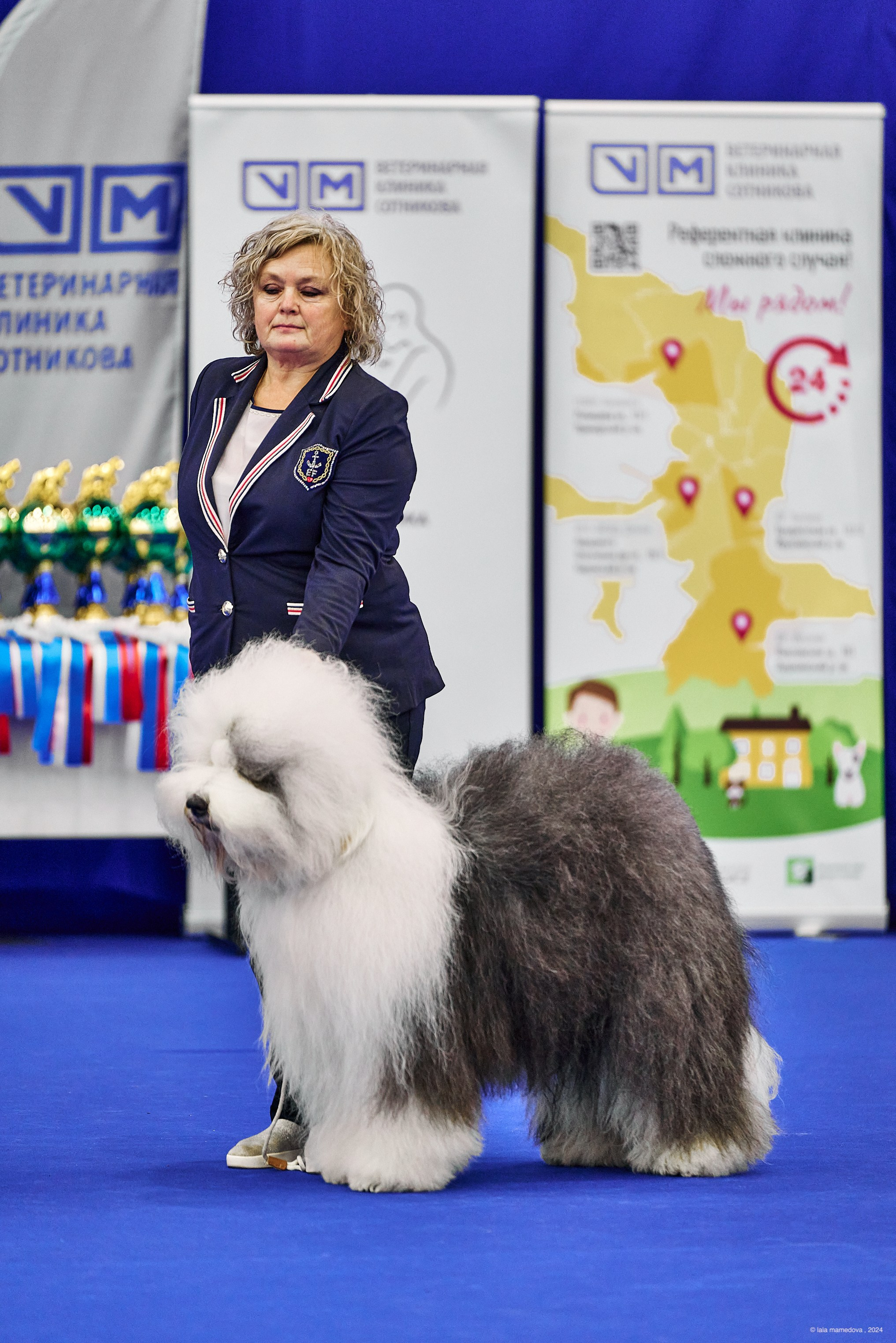 РЕЙТИНГОВАЯ ВЫСТАВКА СОБАК ВСЕХ ПОРОД С ОСОБЫМ СТАТУСОМ"НЕВСКИЙ ПОБЕДИТЕЛЬ-2024-1"