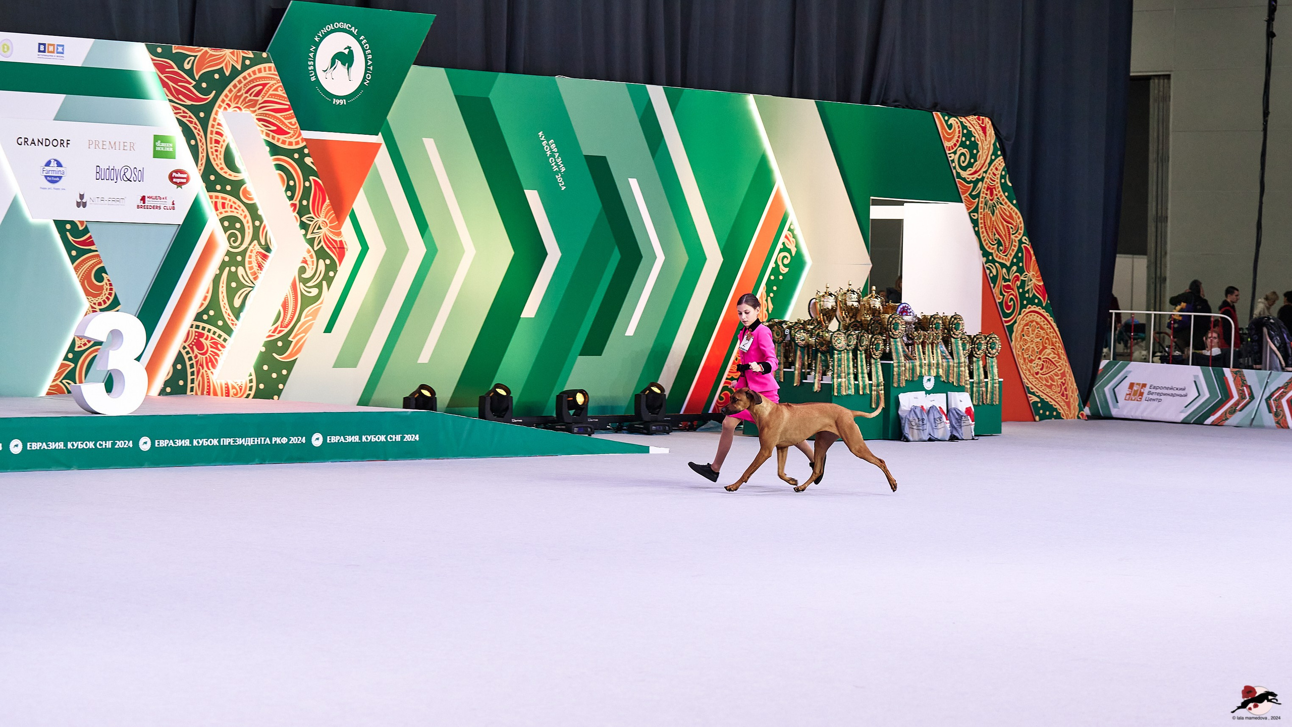 16.11.2024 «ЕВРАЗИЯ. КУБОК ПРЕЗИДЕНТА РКФ 2024»