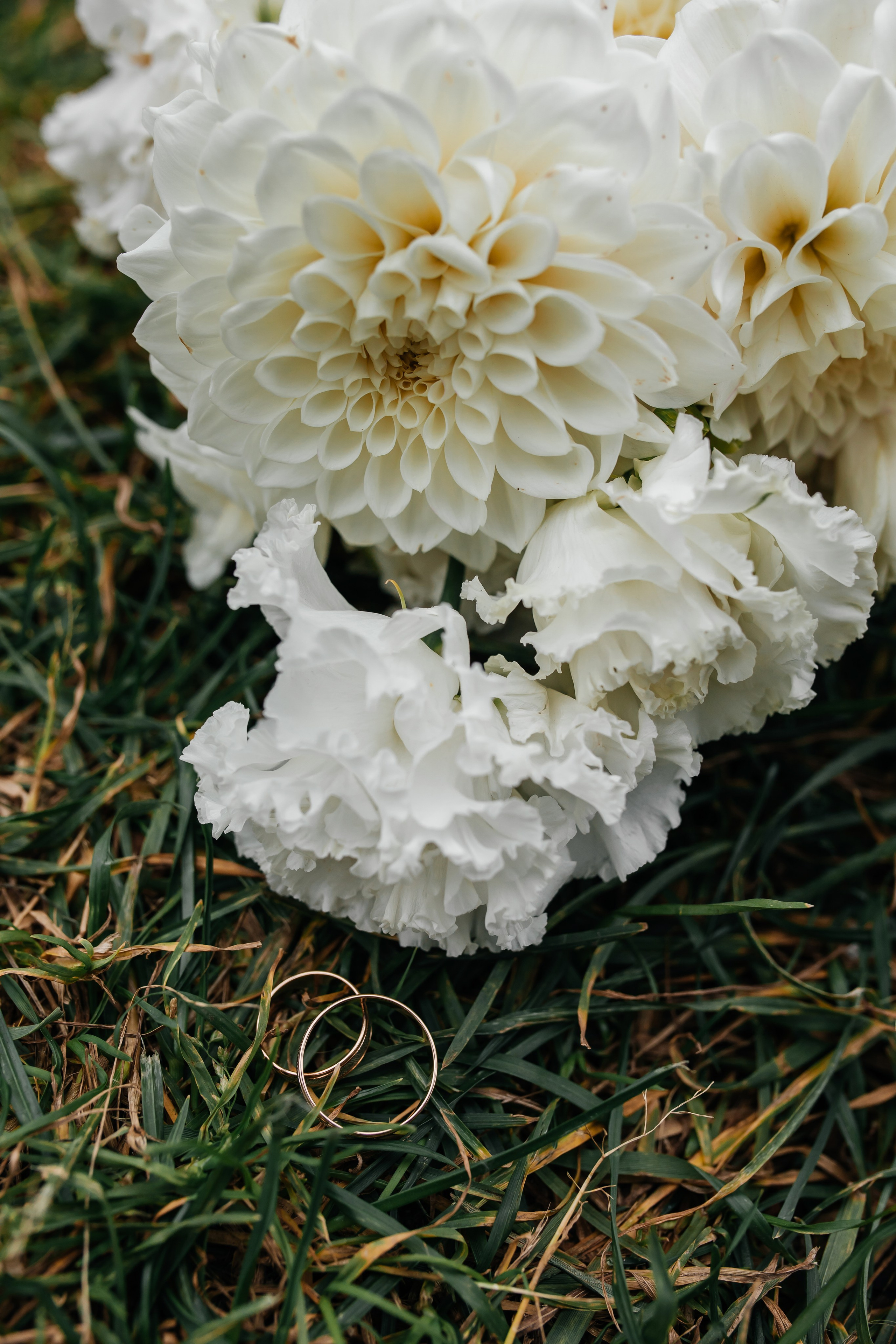 Свадьба Никита и Светлана. Анастасия Давыдова