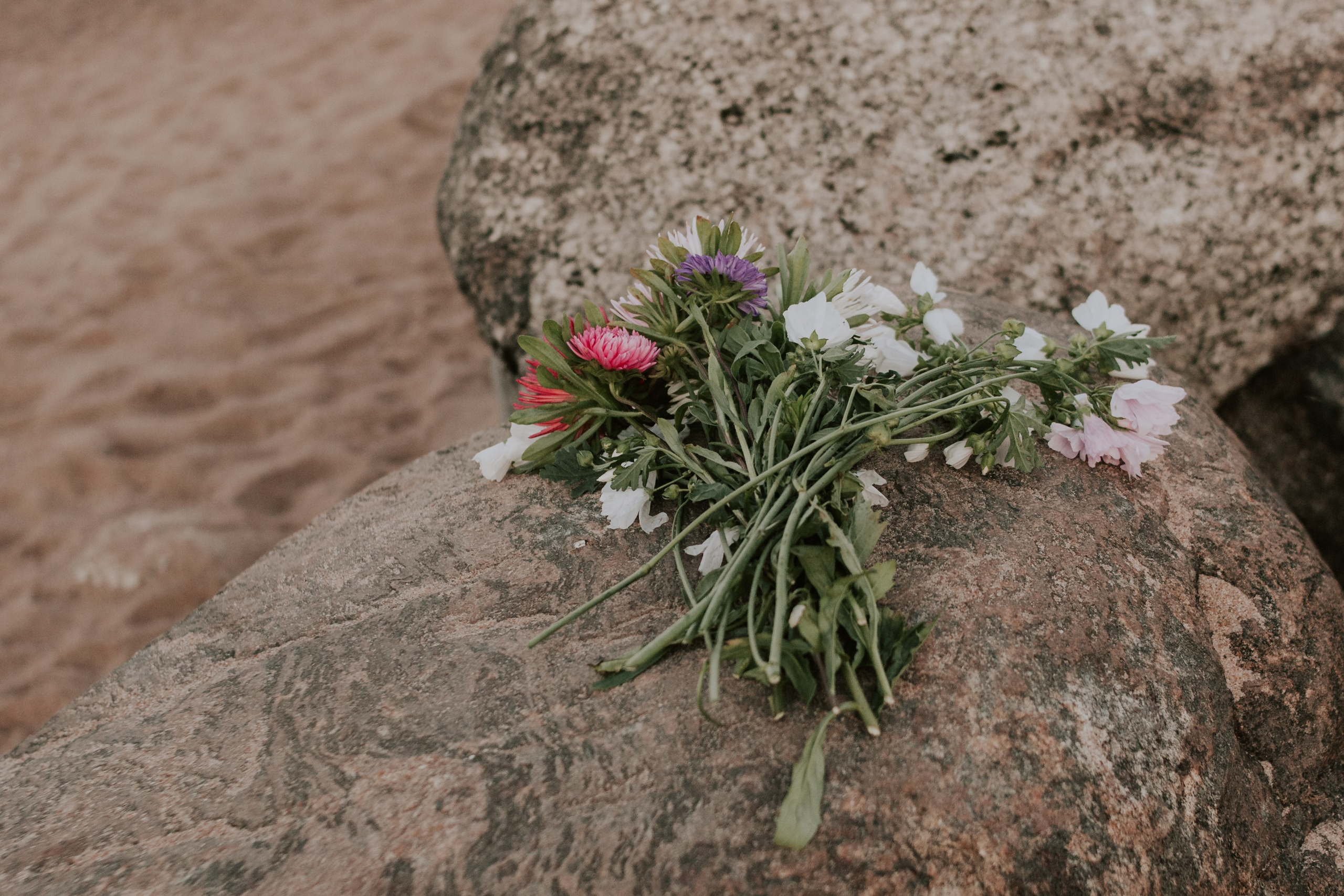 Ксюша и Ева. Семейный фотограф во Всеволожске и Санкт-Петербурге Юлия Капустина