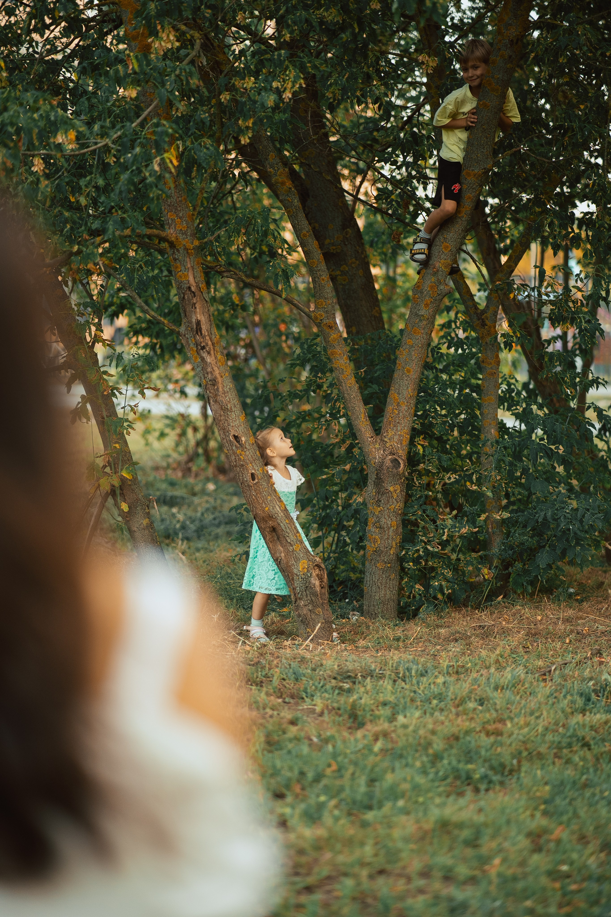 Лето. Фотограф Мария Зайчик