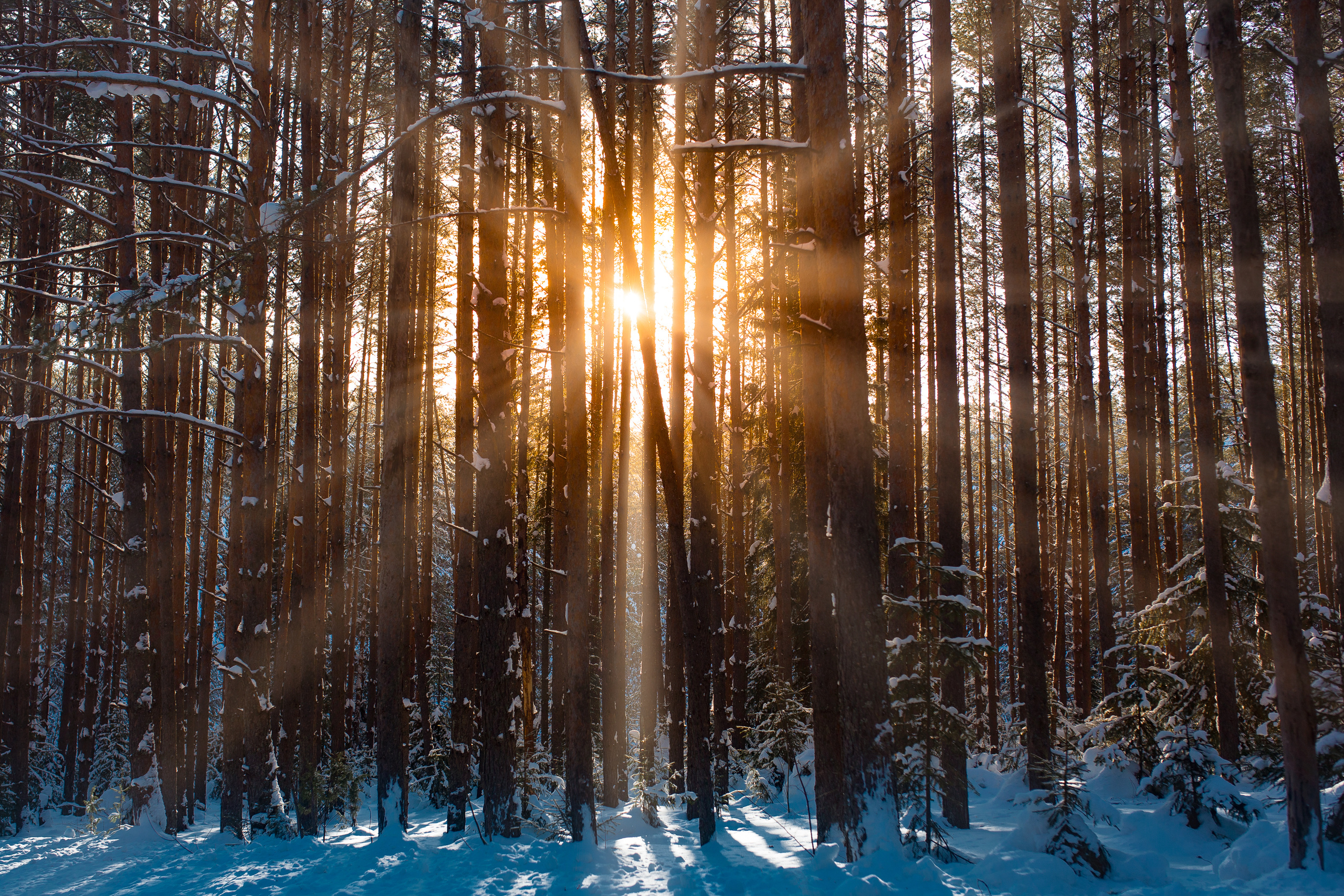 Nature Grand Tour. Свадебный, семейный фотограф и видеограф в Перми Павел Савин