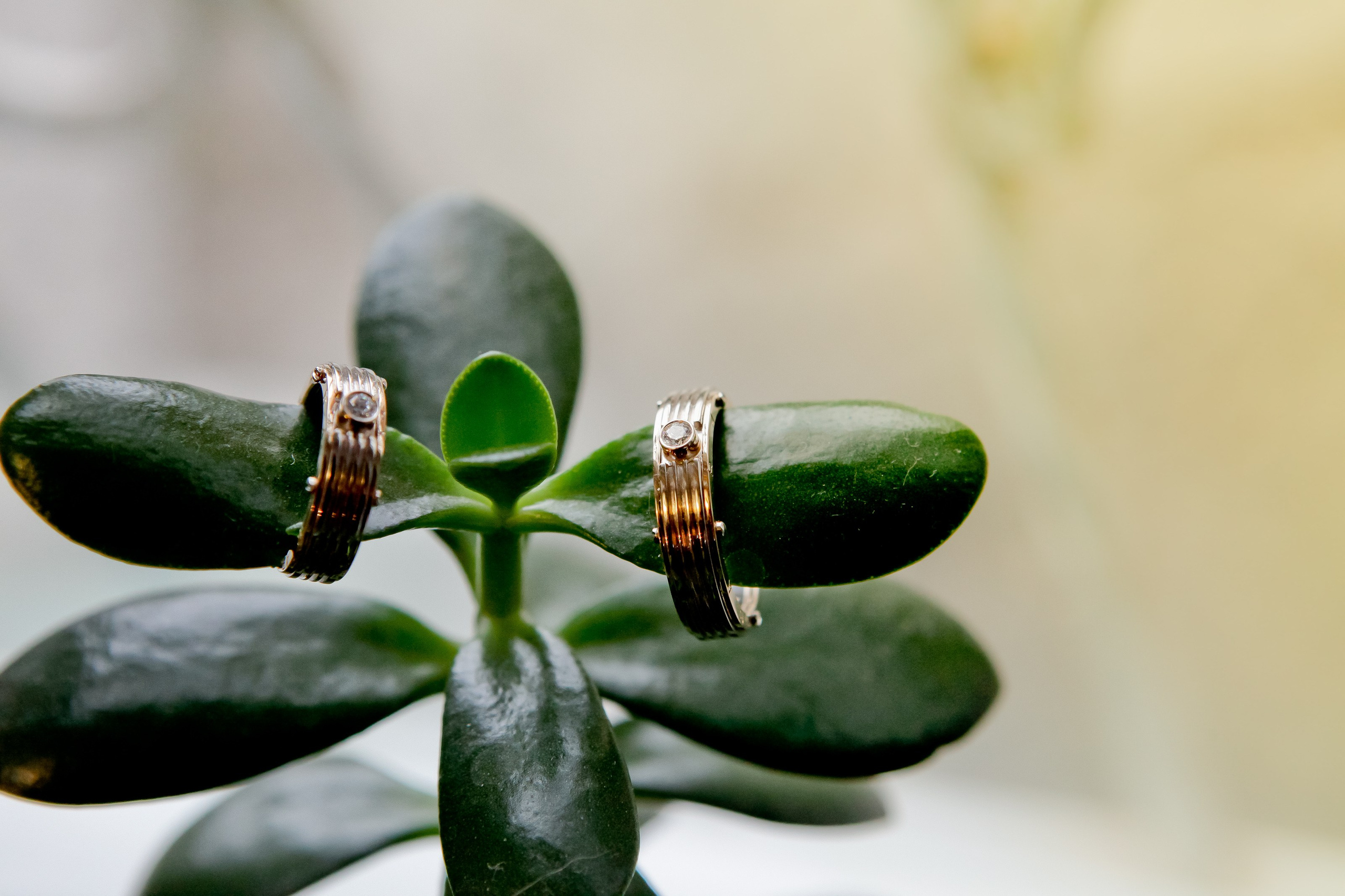 Утро/Morning. Максим Матвийченко и Виктория Басова профессионалы своего дела