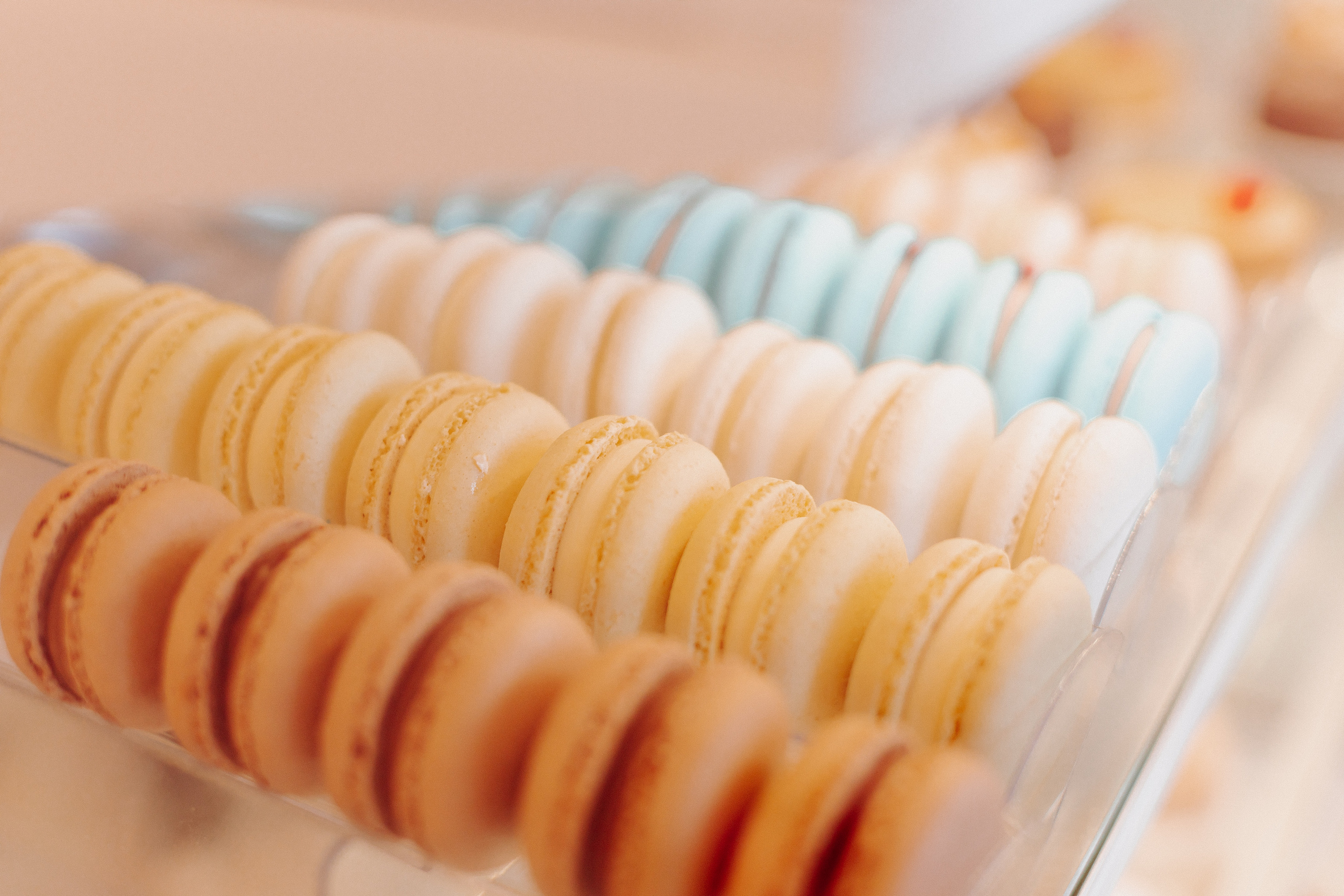 Giwings. Женский и семейный фотограф в Краснодаре Яна Теплая