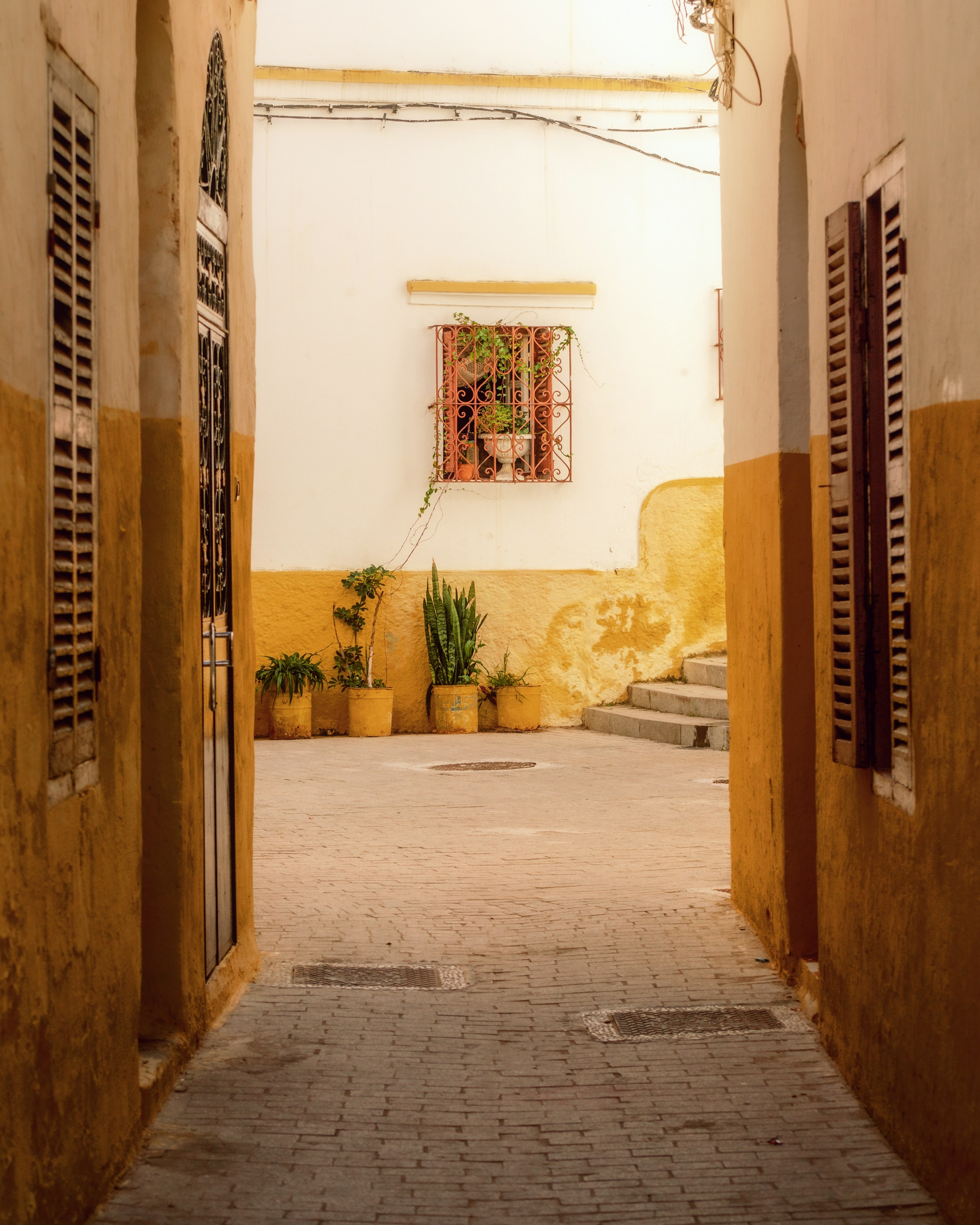 Северная Африка: Тунис, Марокко. Фотограф в Хабаровске. Фотография за 24 часа