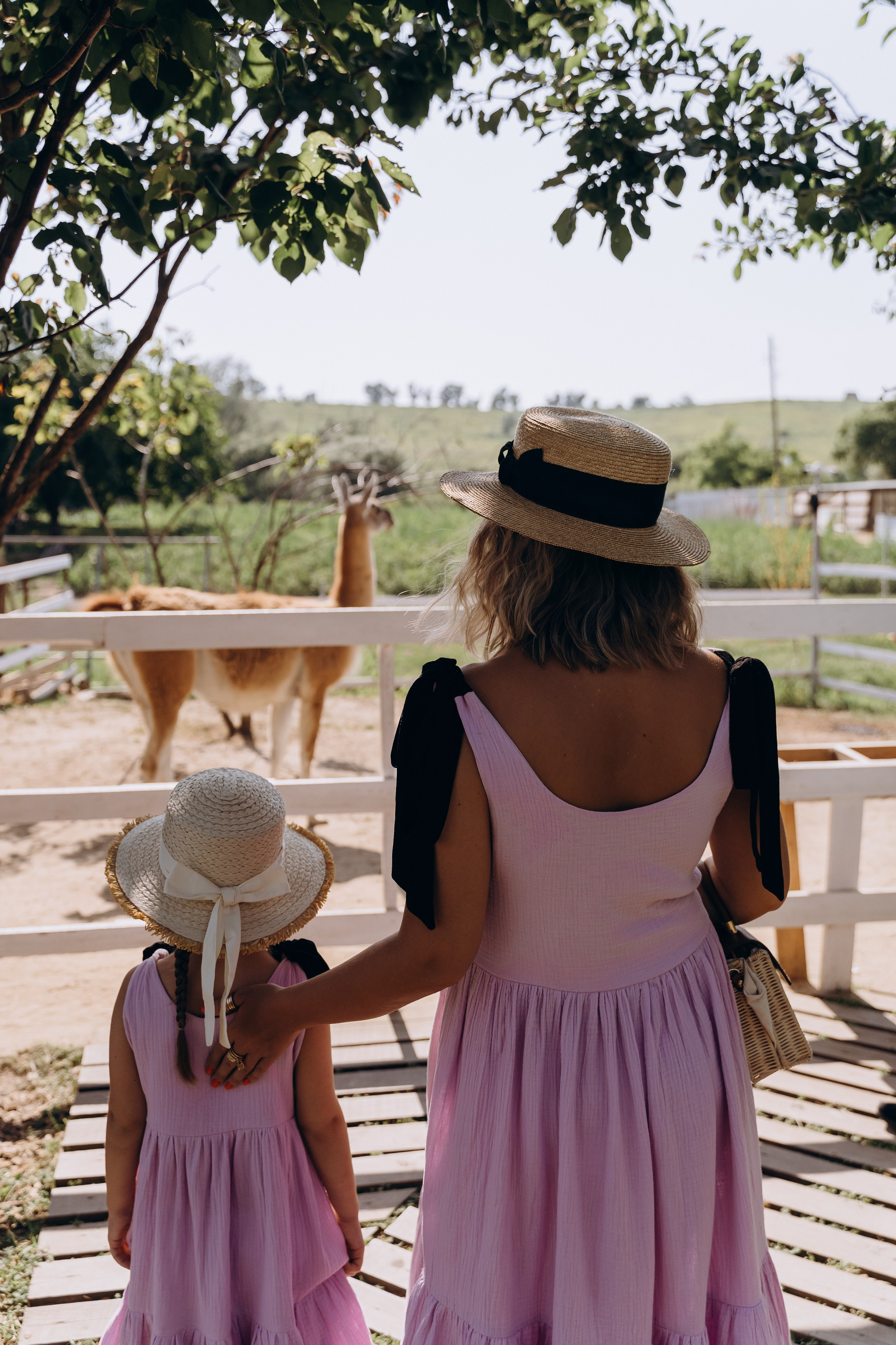 Ферма Альпак. Фотограф Ларионова Надежда|Ставрополь