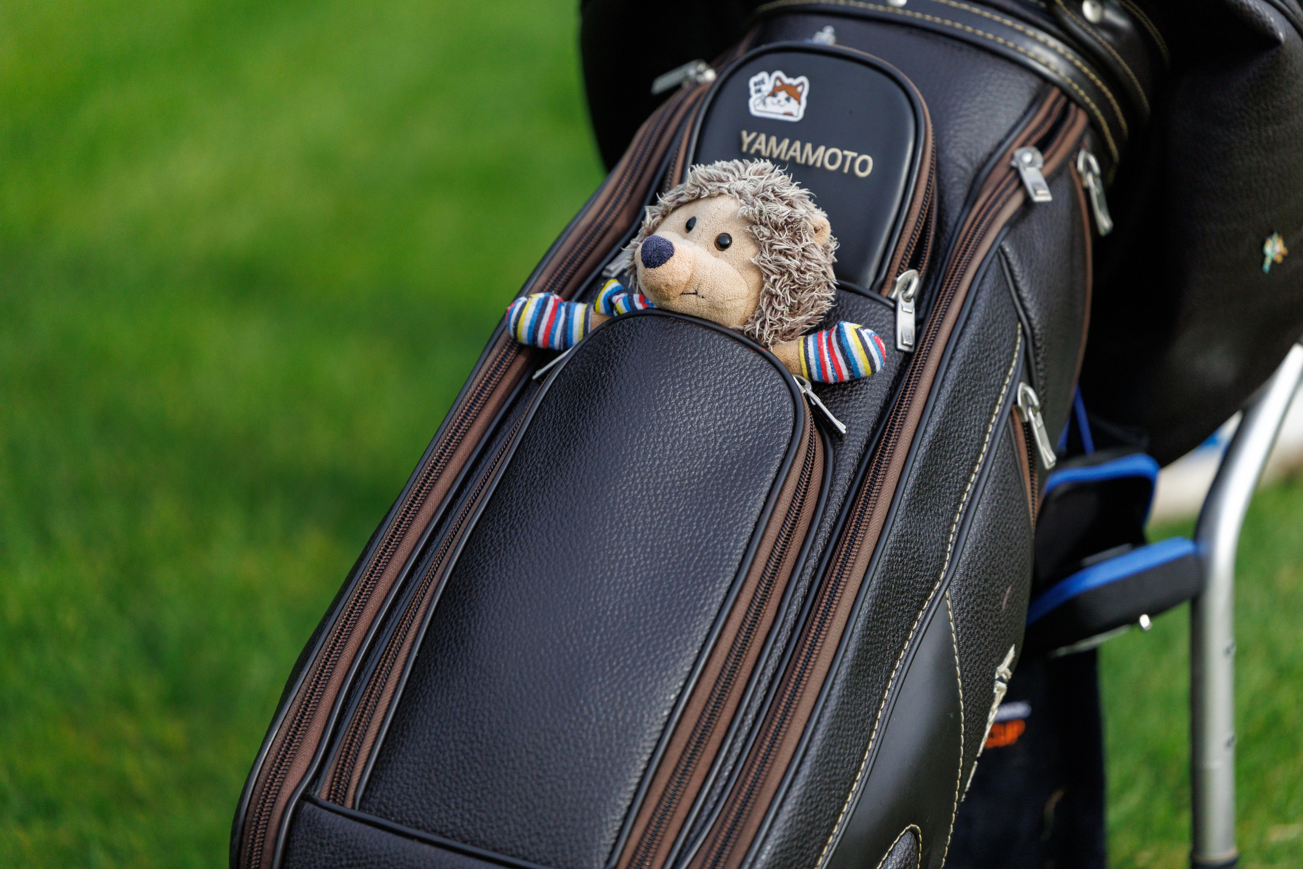 SBER Golf Cup. Профессиональный репортажный фотограф