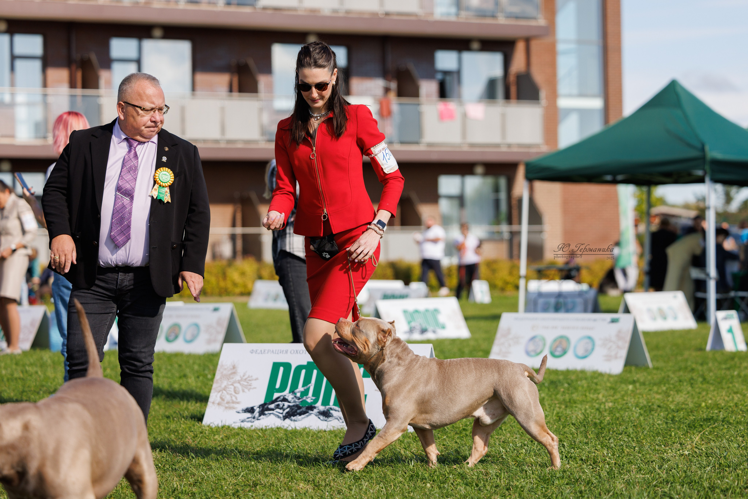 Переславль 5-7.08.2025. Фотограф-анималист Юлия Германика