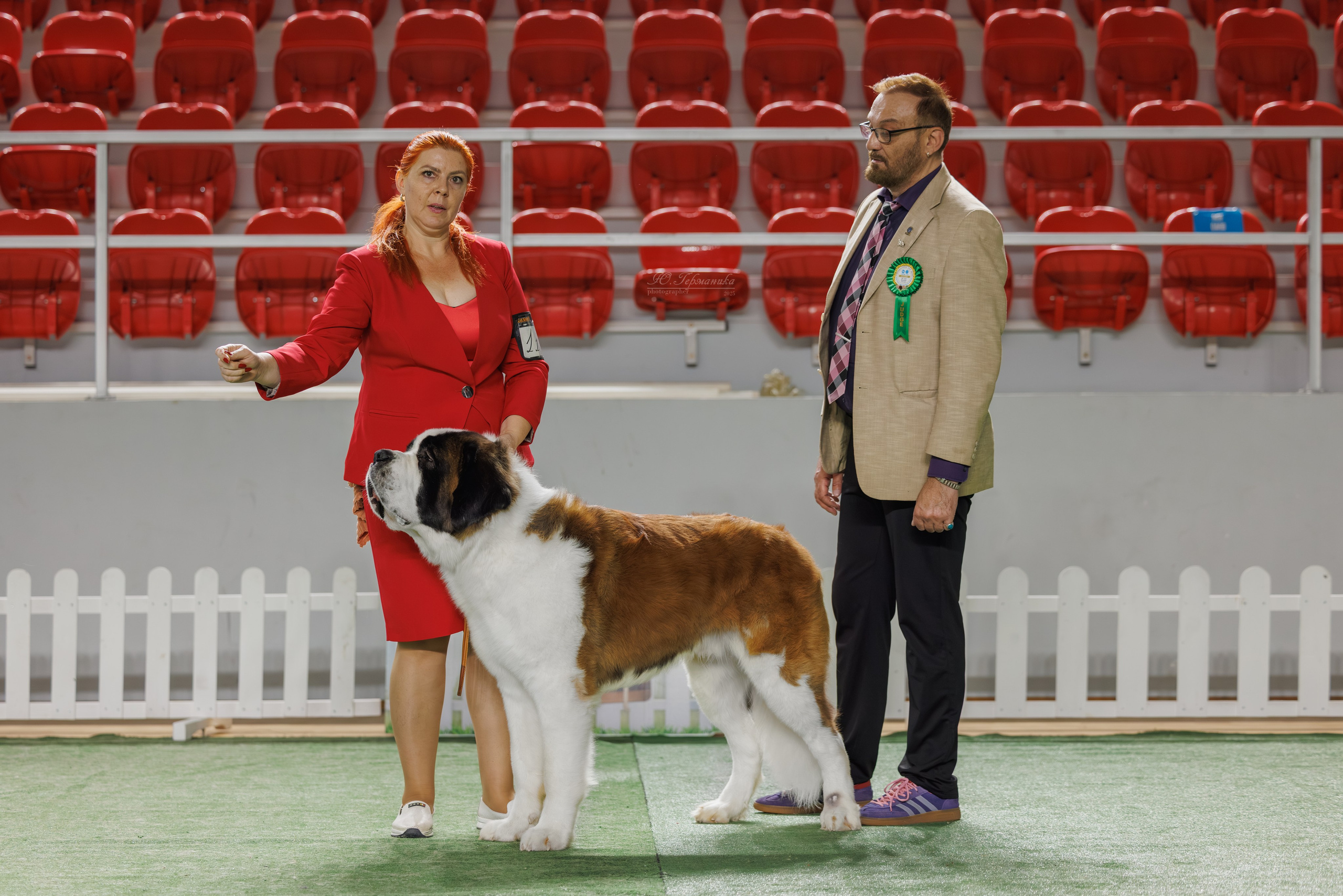 Телави 11-12.10.2025. Фотограф-анималист Юлия Германика