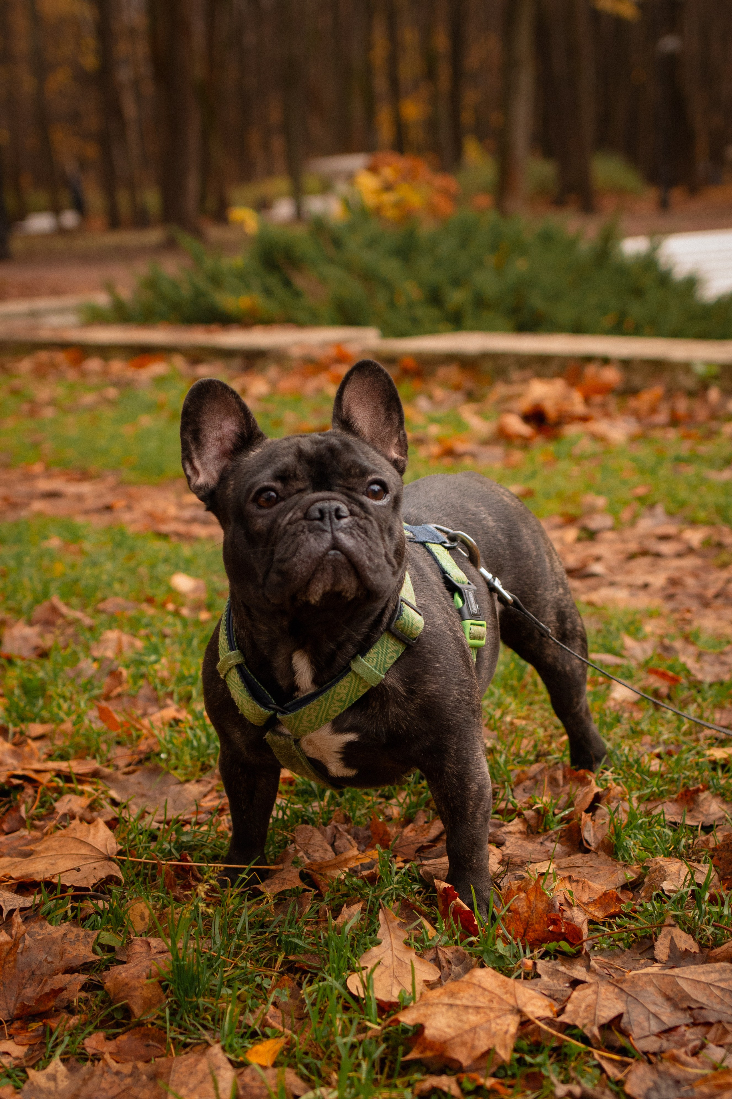 Альбом1. Фотограф Мария Сургаева | Профессиональная фотосъемка в Москве