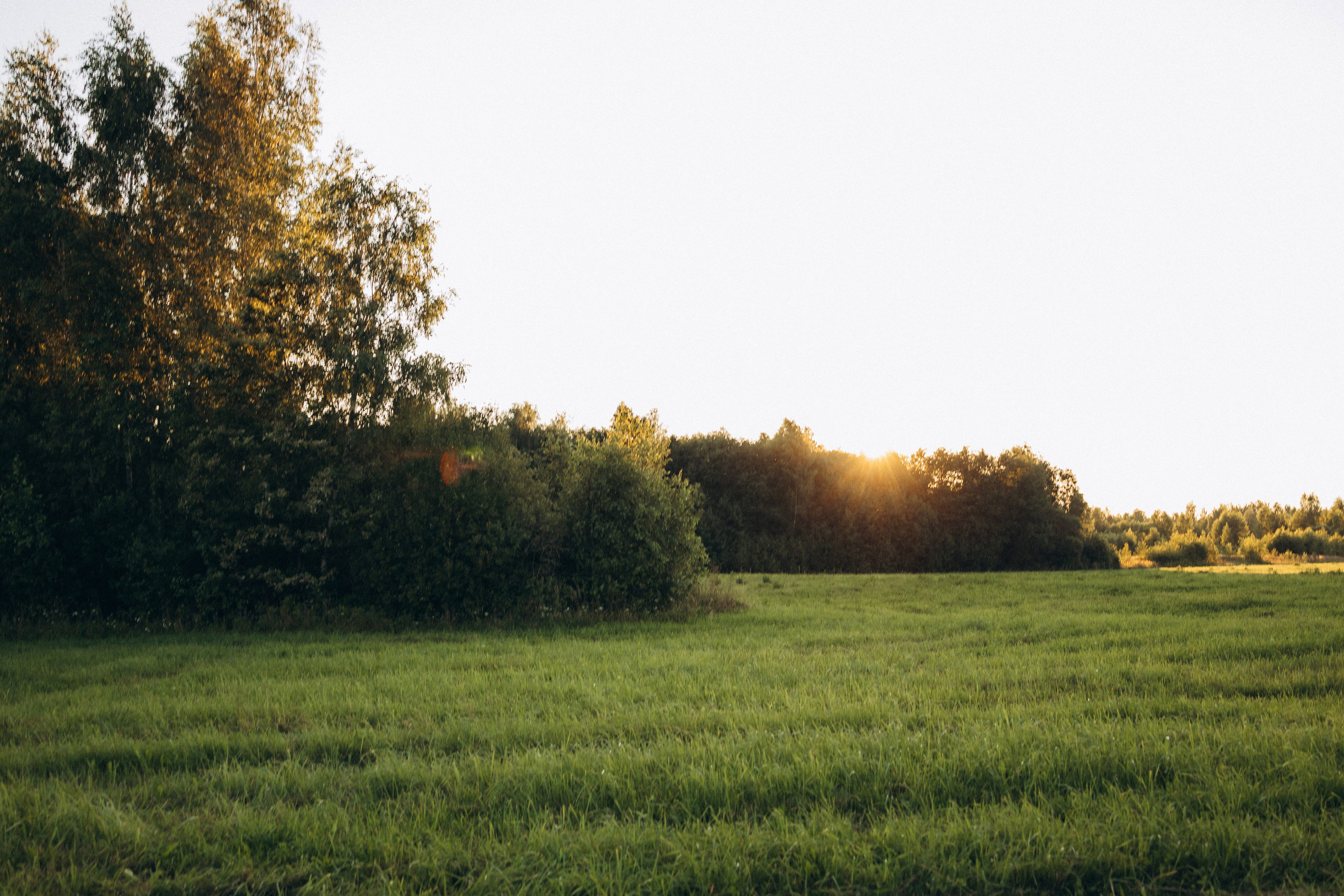 София и Диана 🍋. Фотограф Елена Рябцева