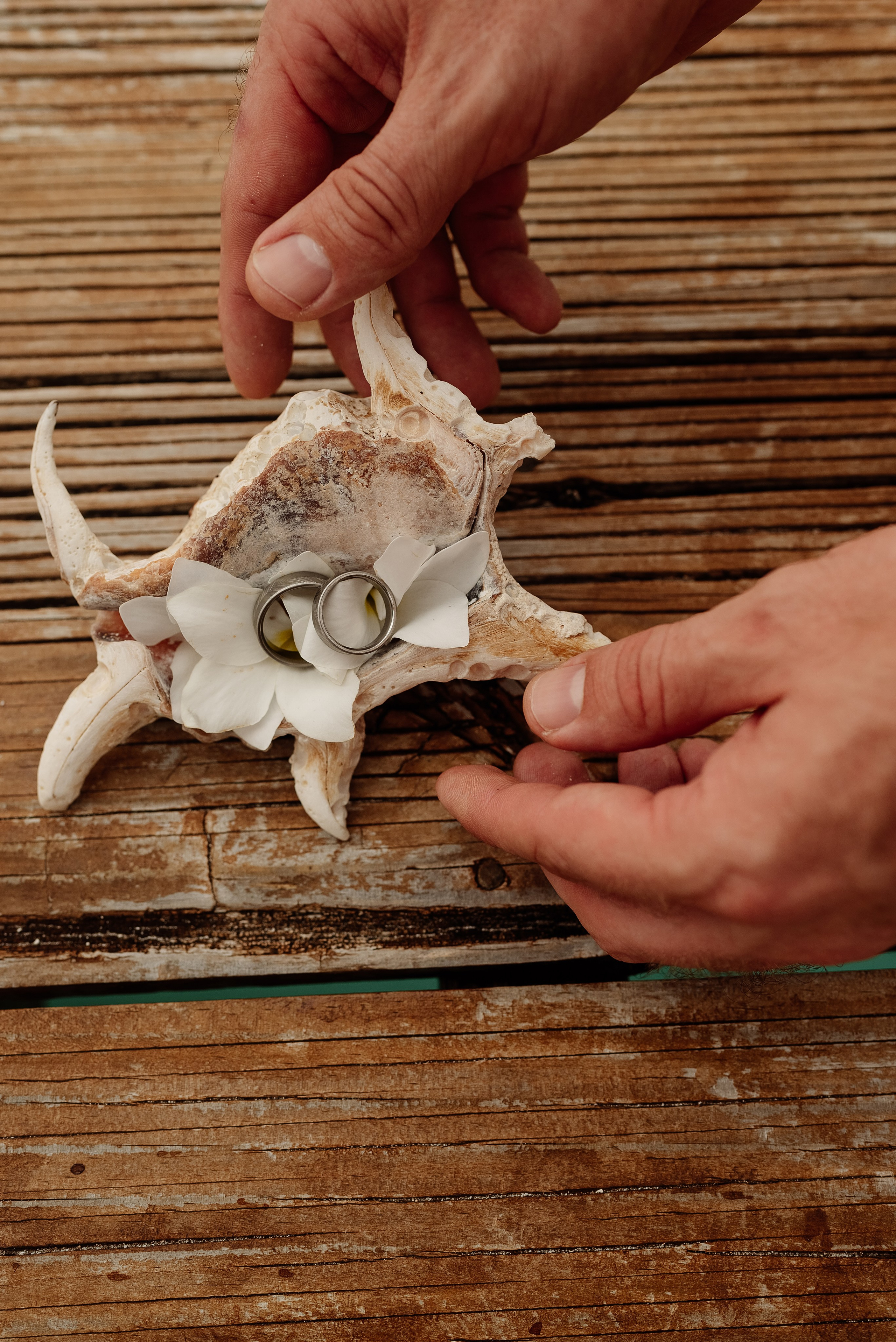 Свадебные серии. Свадебный и семейный фотограф в Ростове-на-Дону Алина Астахова