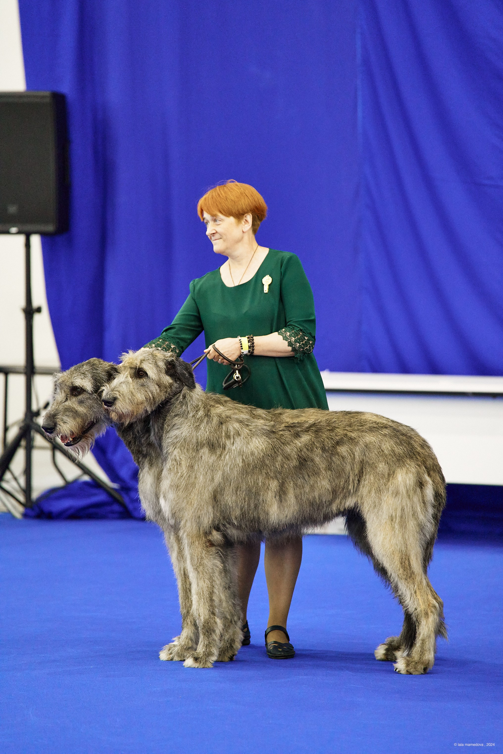 20.07.2024 | «БАЛТИК-ШОУ-1-2024»