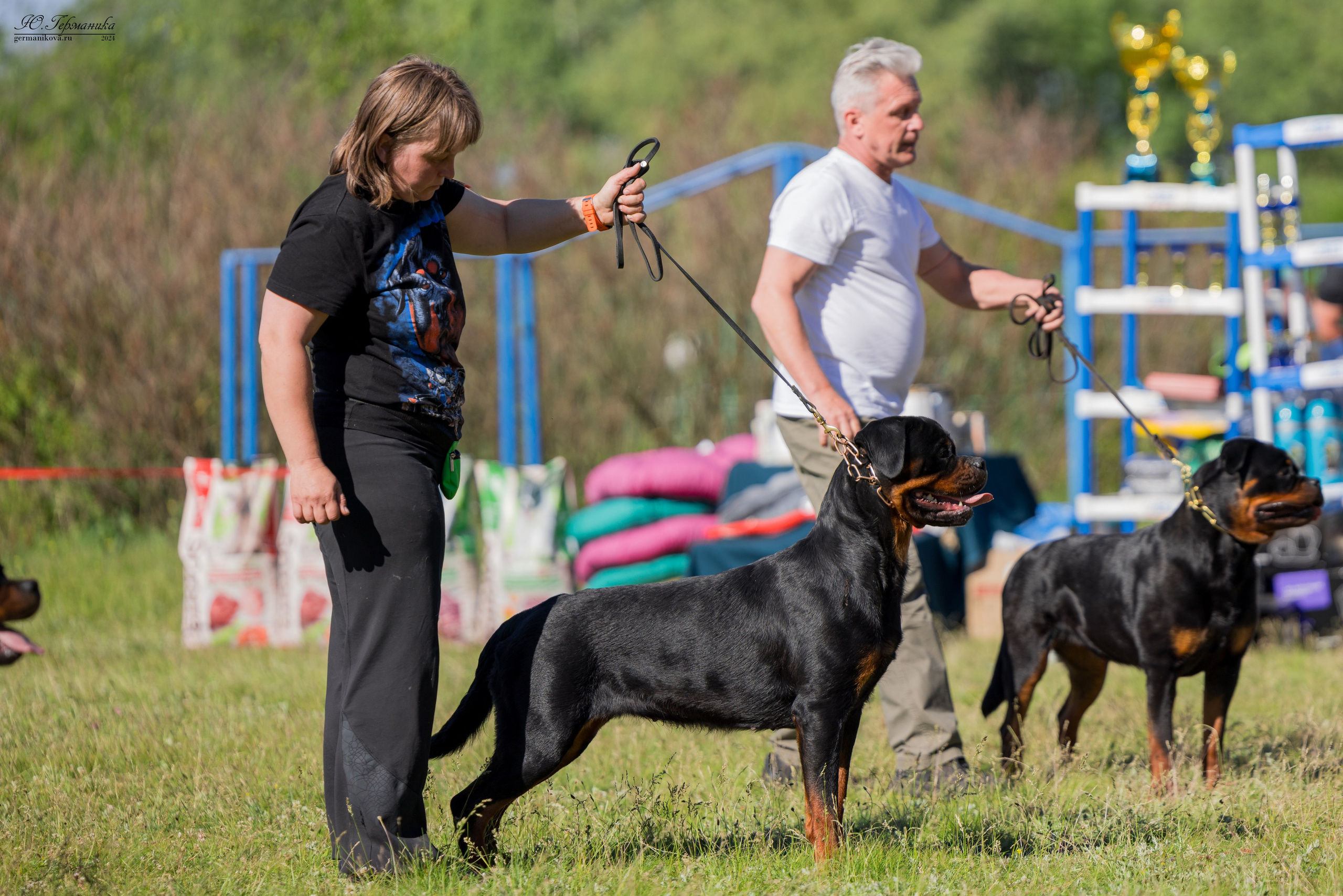 Воронеж моно ротвейлеров 25-26.05.2024. Фотограф-анималист Юлия Германика
